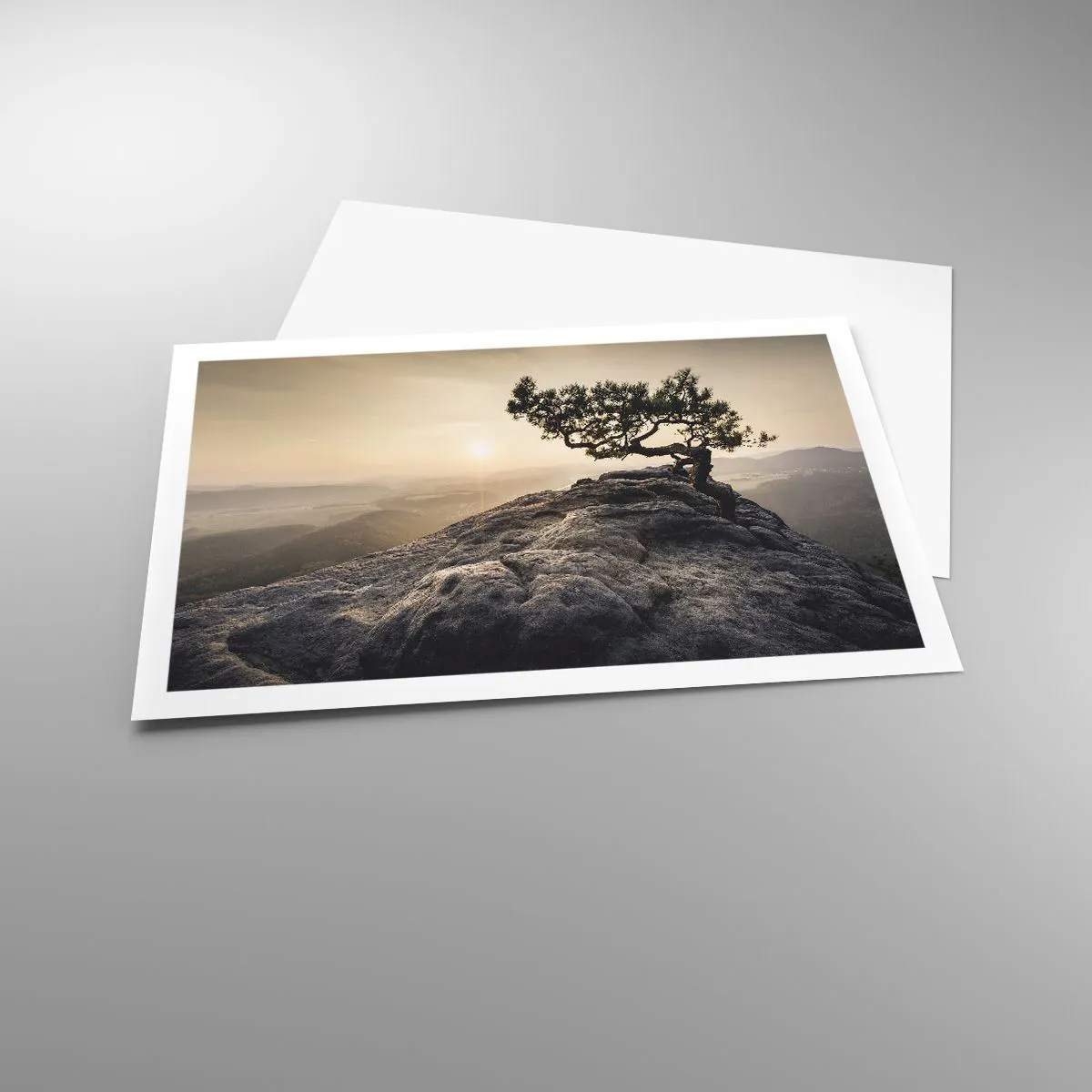 Poster - Viața învinge întotdeauna - 91x61 cm