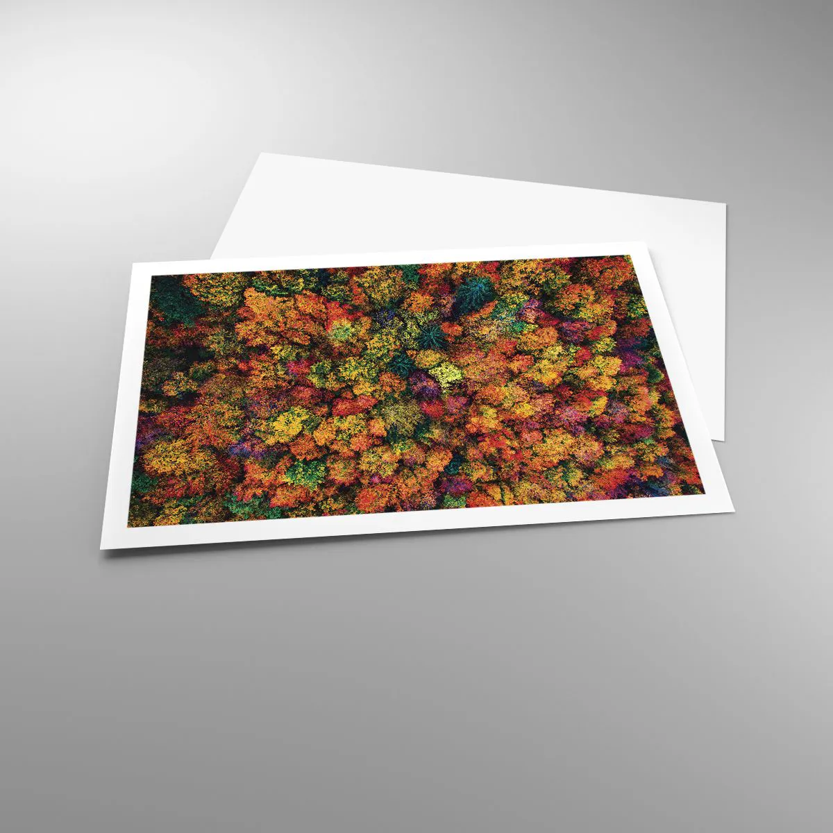 Plakát - Kytice podzimních stromů - 91x61 cm