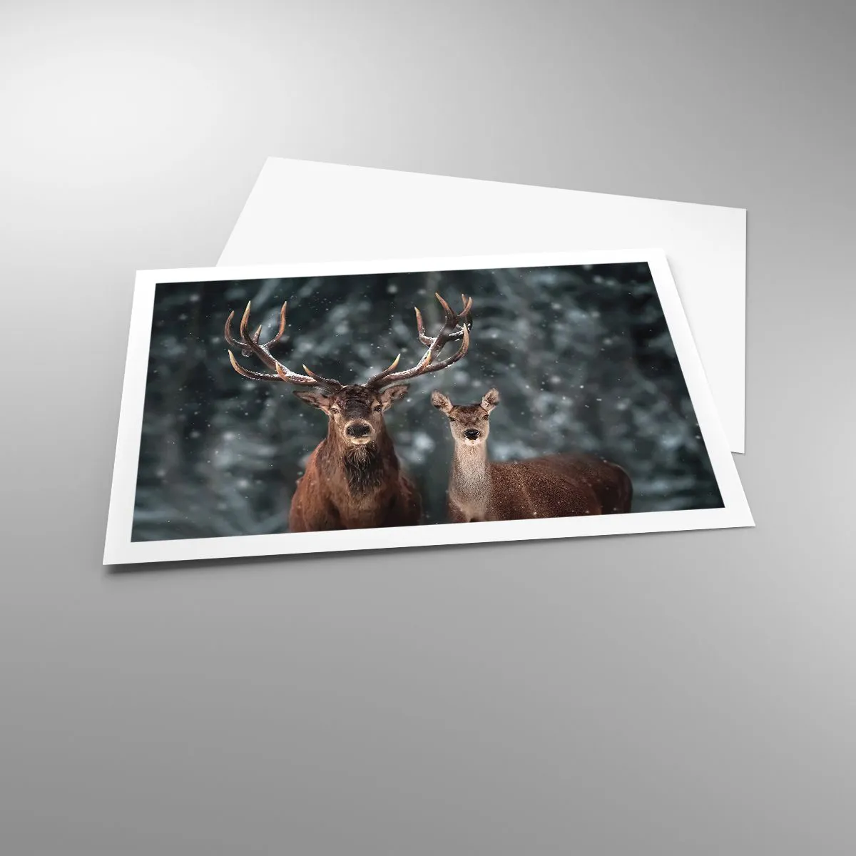 Poszter - Az erdő ura a feleségével - 91x61 cm