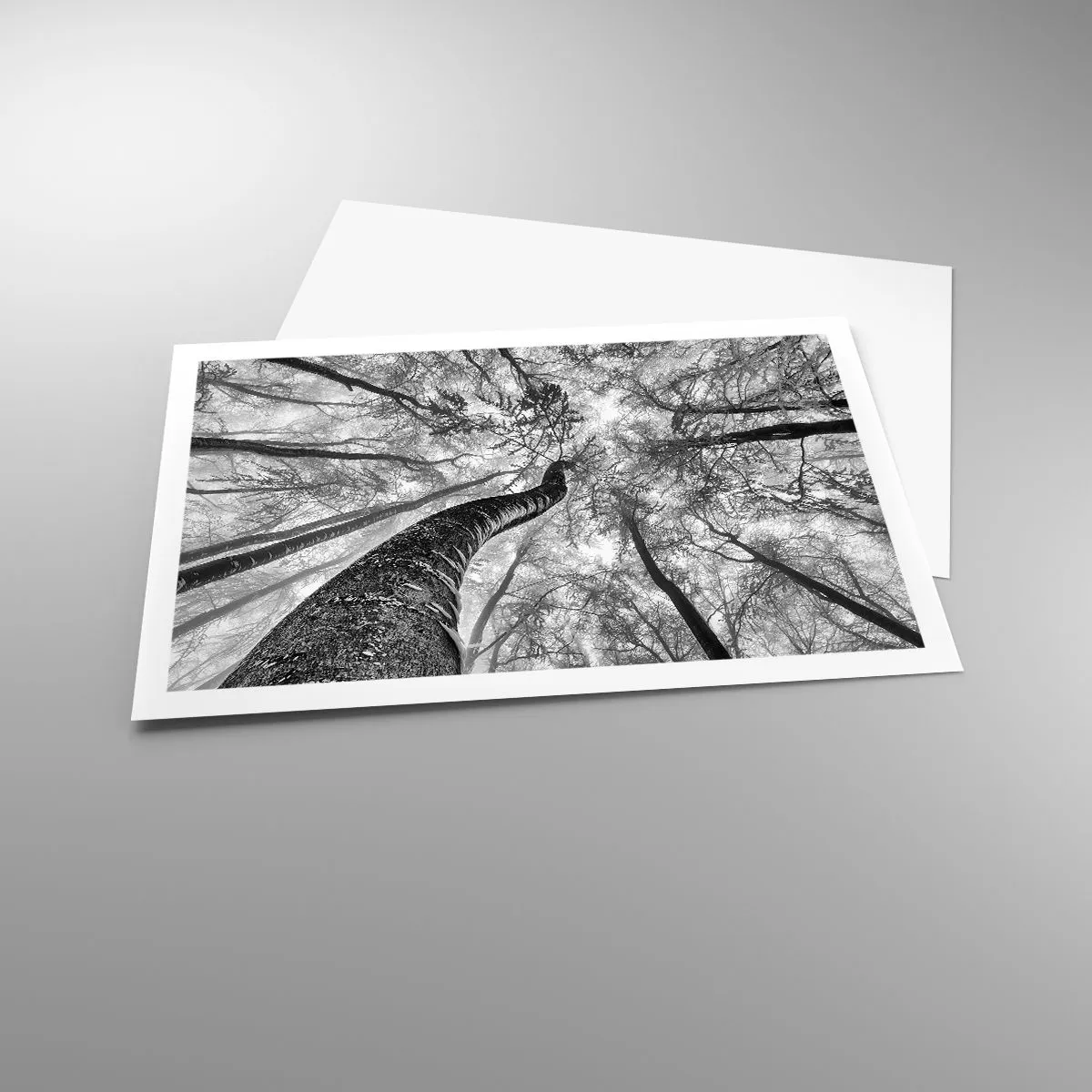 Poster - Race for the Light - 91x61 cm