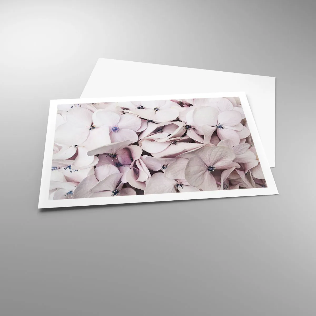 Poszter - A virágok áradatában - 91x61 cm