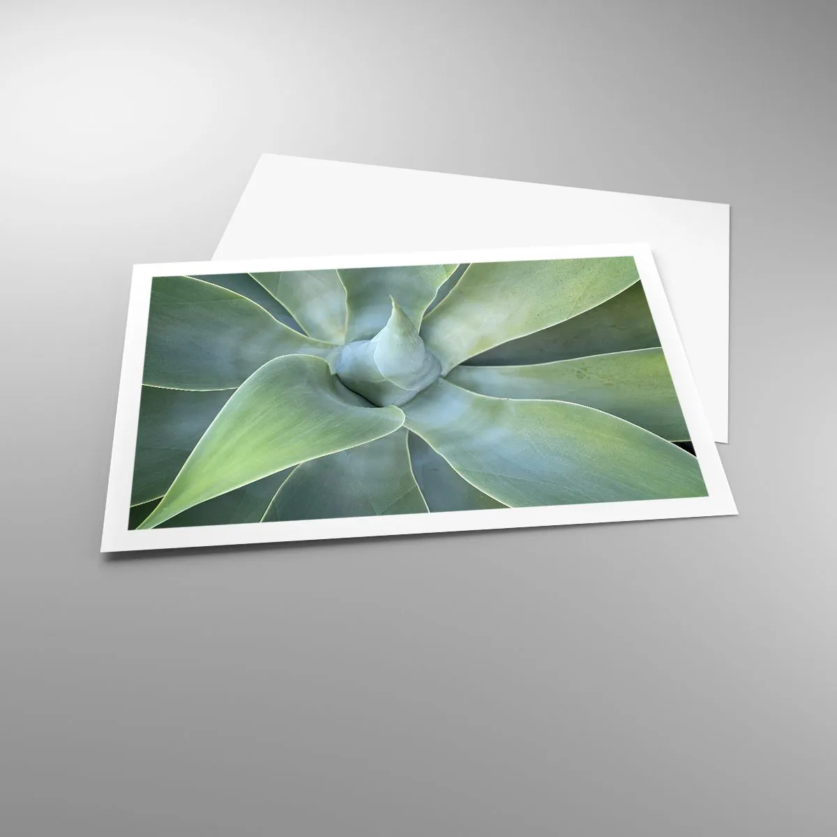 Póster - El nacimiento del verde - 91x61 cm