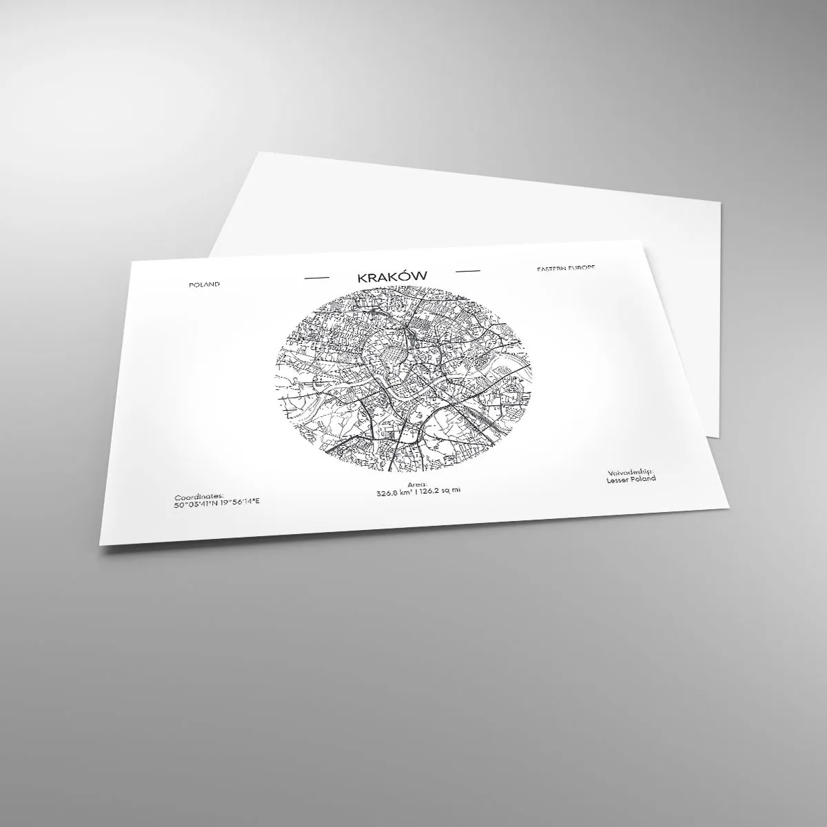 Poster - Anatomy of Crocow - 91x61 cm