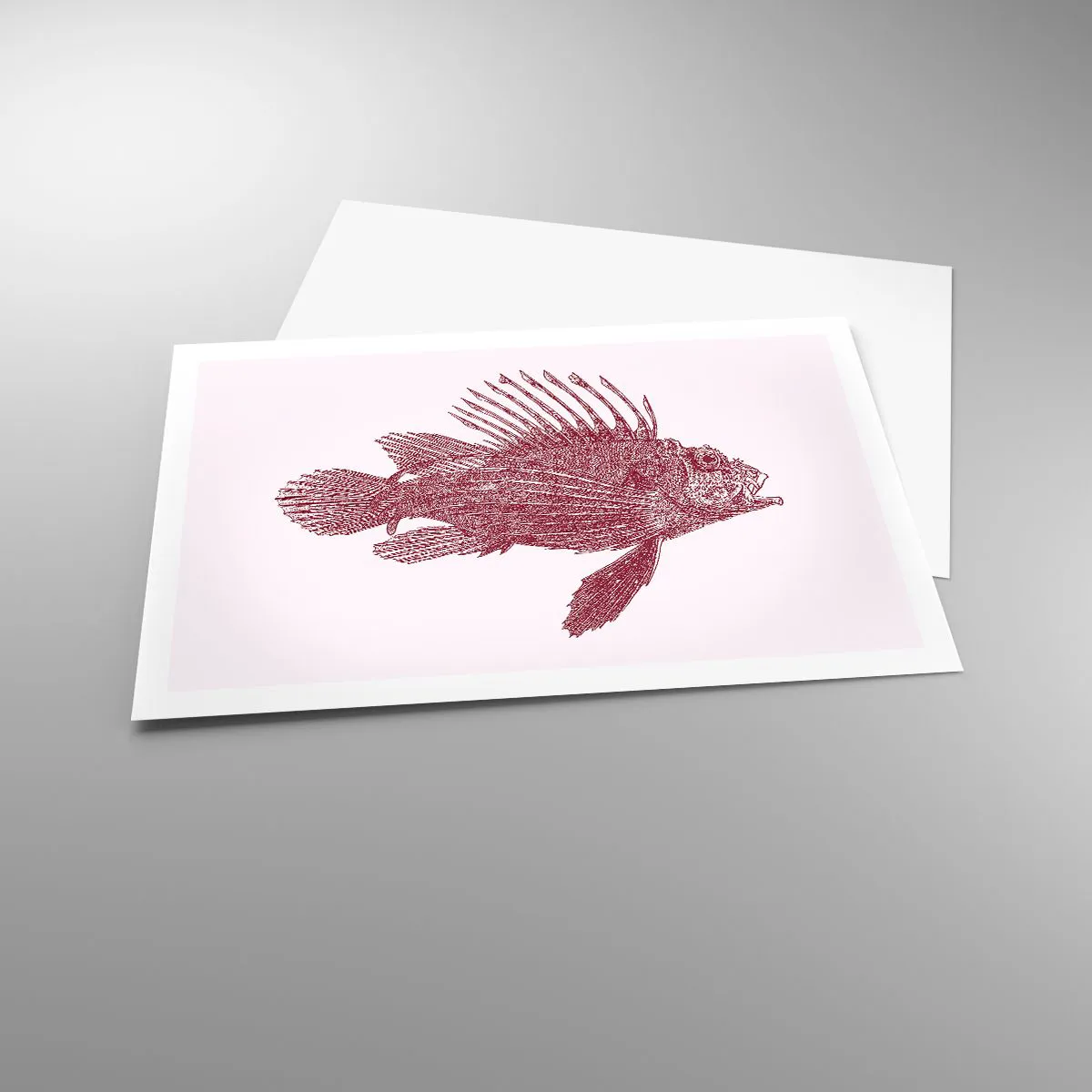 Plakat - En beboer i eksotiske farvande - 91x61 cm