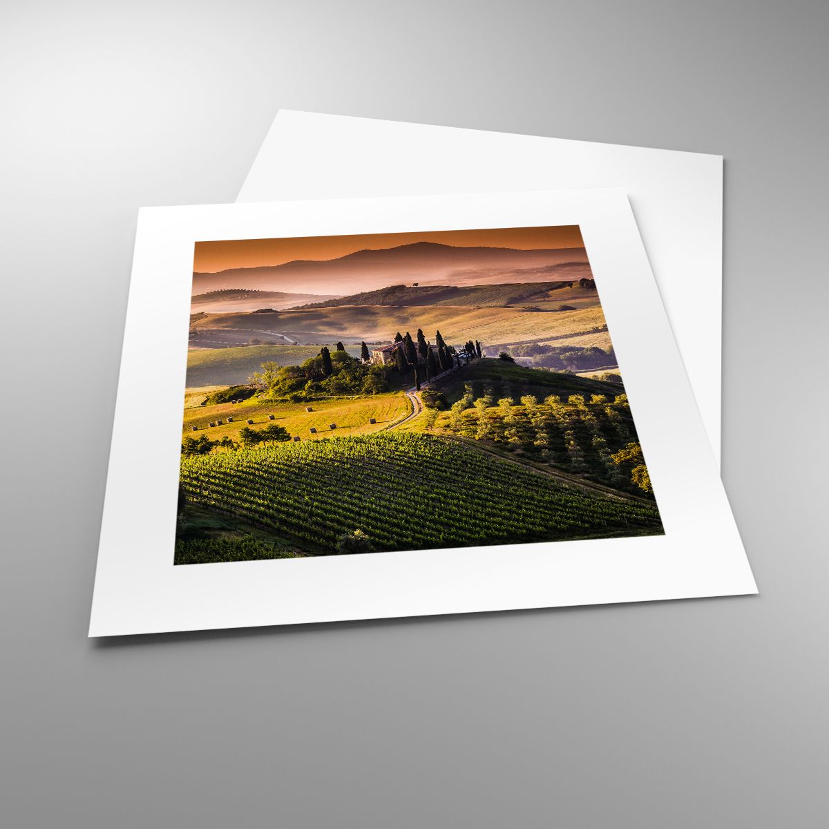 Affiche Paysage, Affiche Toscane, Affiche Vignobles, Affiche Voyages, Affiche Italie