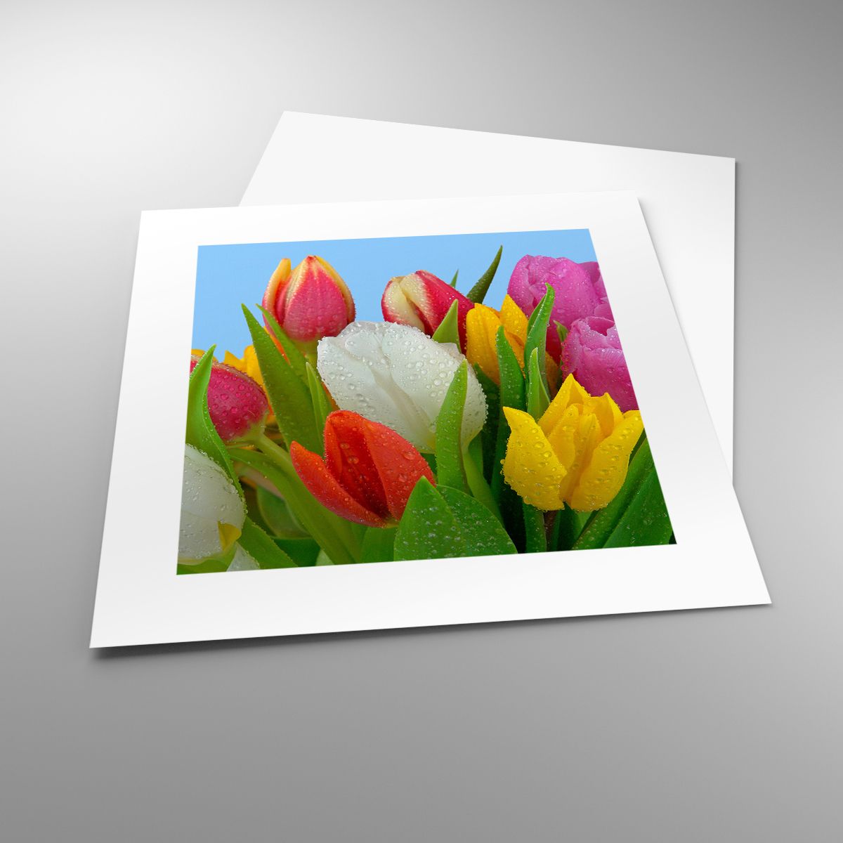 Poster Tulpen, Poster Blumen, Poster Blumenstrauß, Poster Natur, Poster Farbenfrohe Blumen