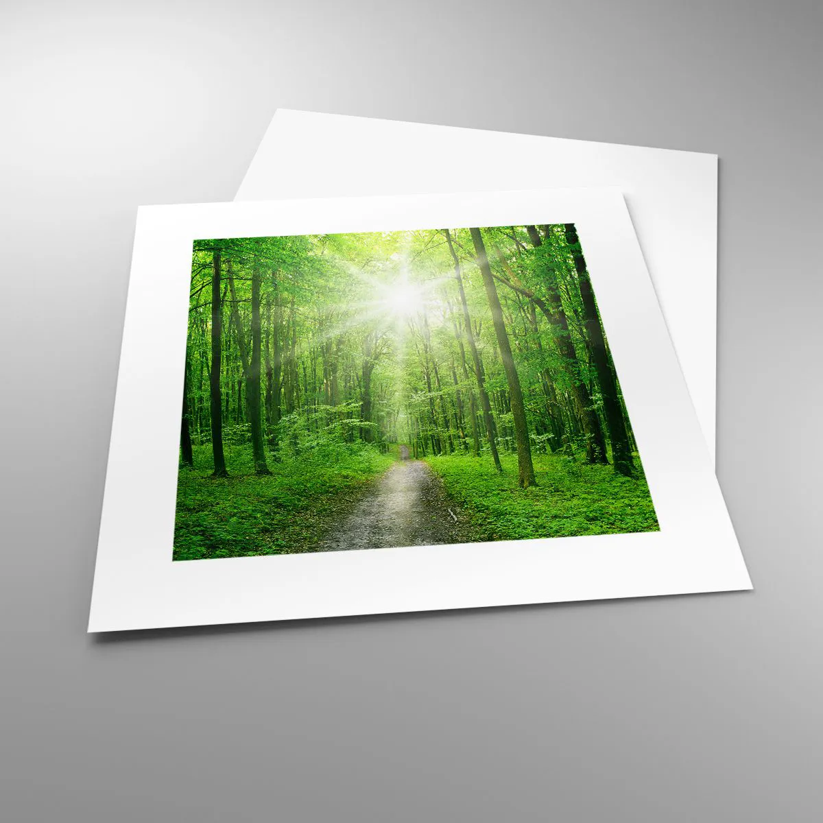 Póster - Catedral verde - 30x30 cm