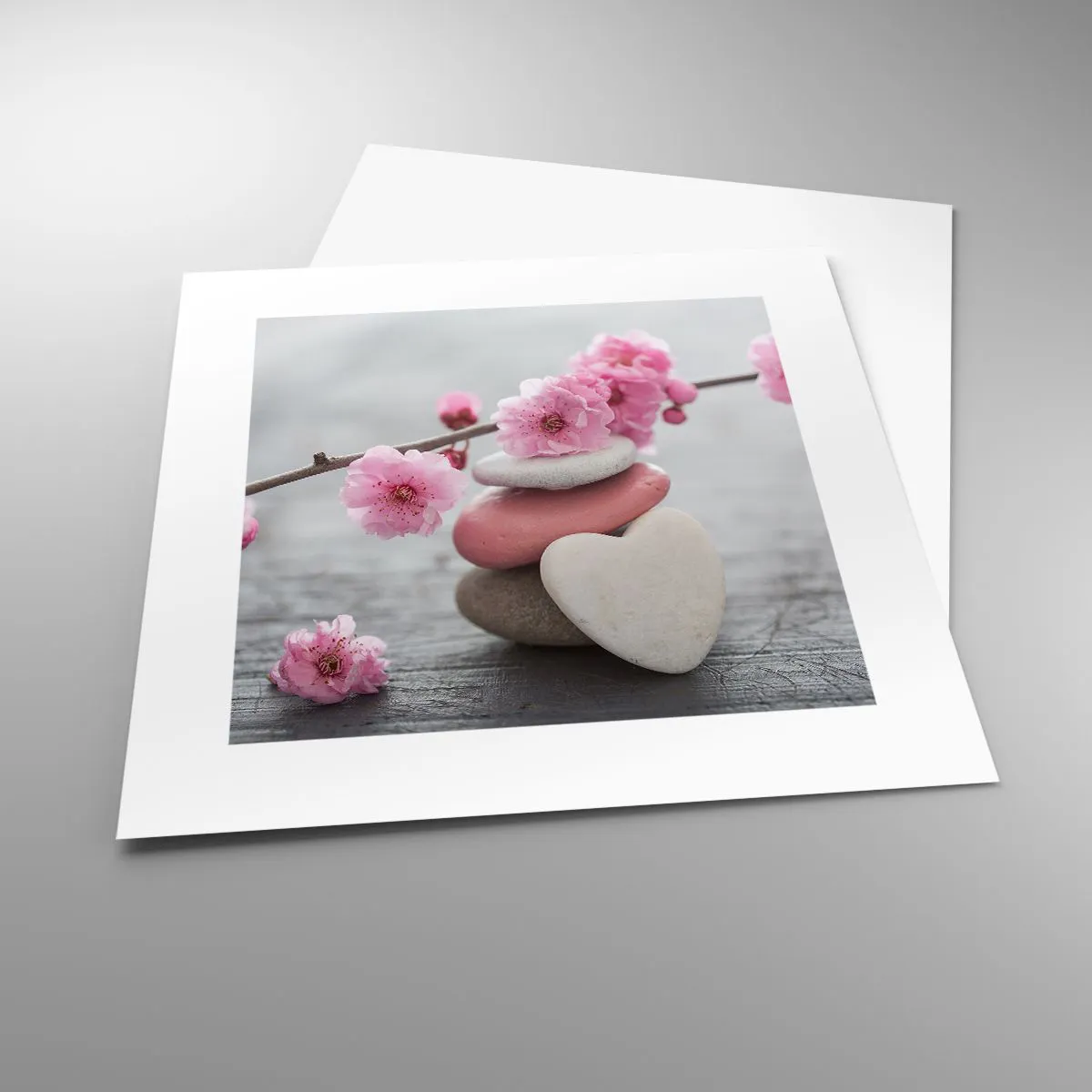 Poster - Bliss with Cherry Blossom - 30x30 cm