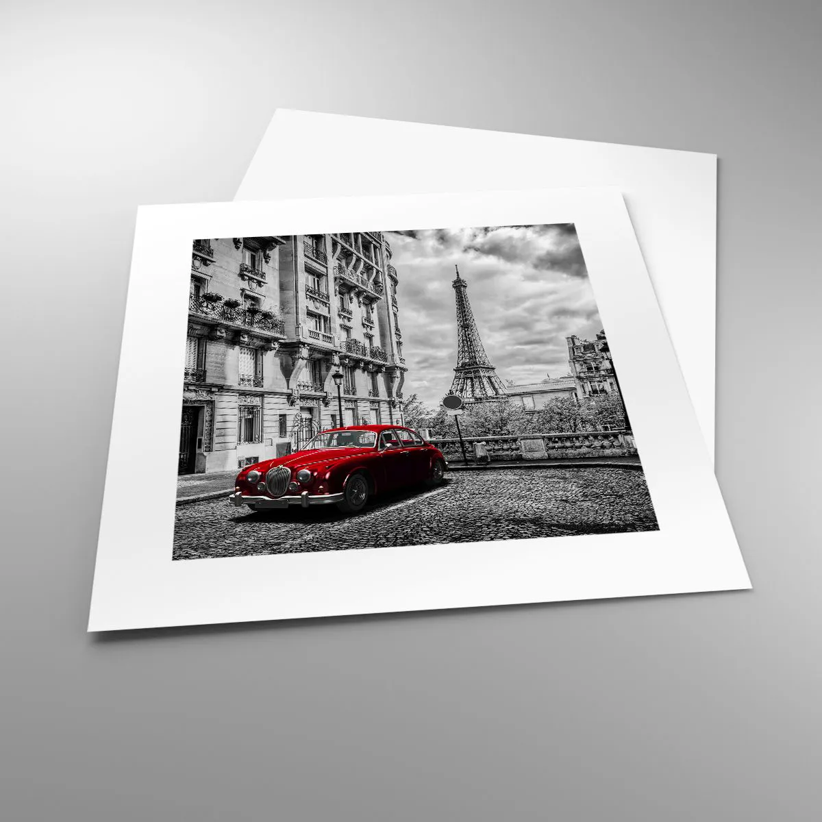 Plakát - Dravec ve městě - 30x30 cm