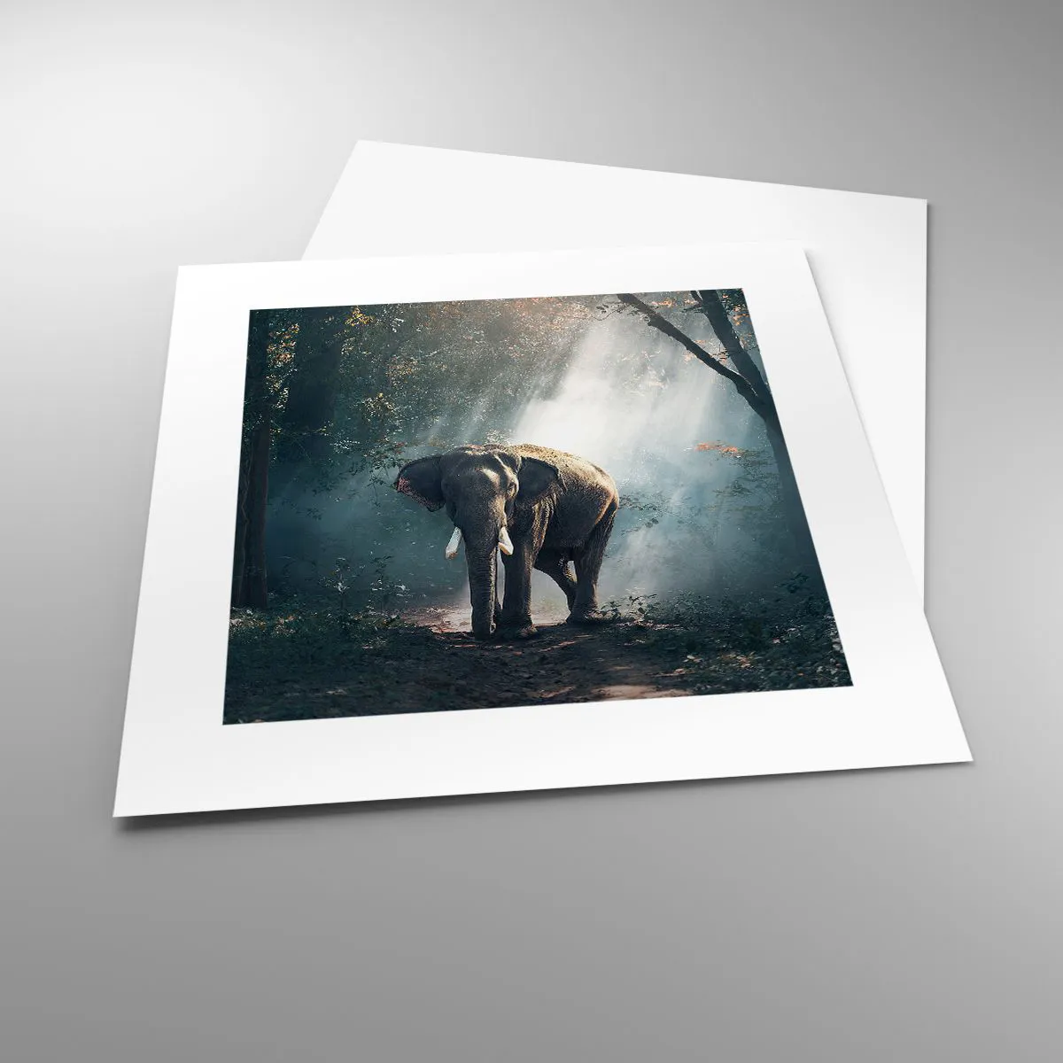 Poster - Quiet Stroll - 30x30 cm