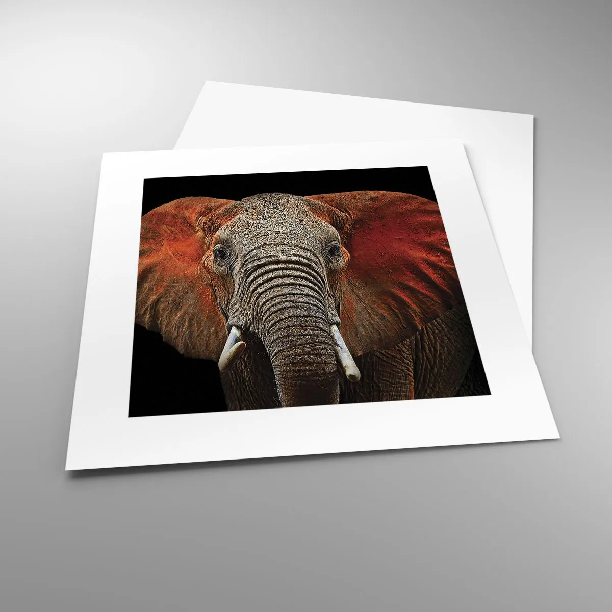 Affiche - Poster - Je suis sauvage, et toi? - 30x30 cm