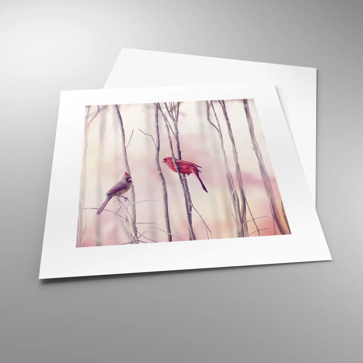 Plakat - Fortællingen om den lyserøde skov - 30x30 cm