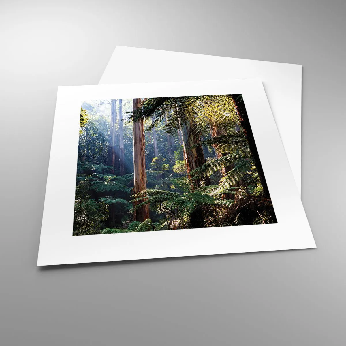 Plakat - Baśń lasu - 30x30 cm