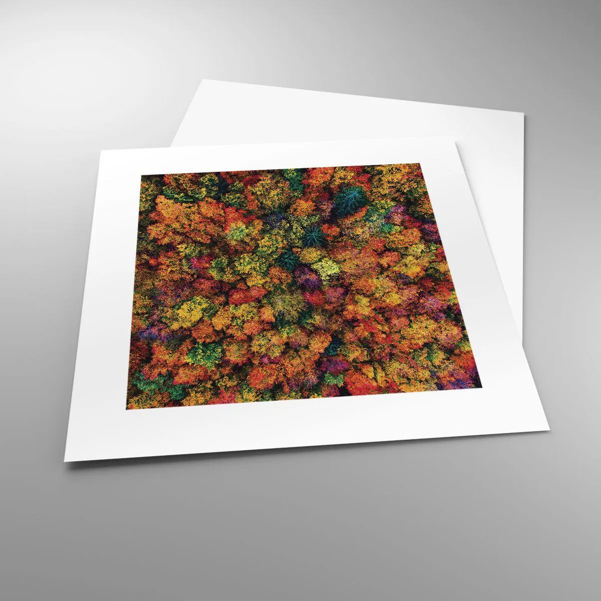 Plakat - Buket af efterårstræer - 30x30 cm