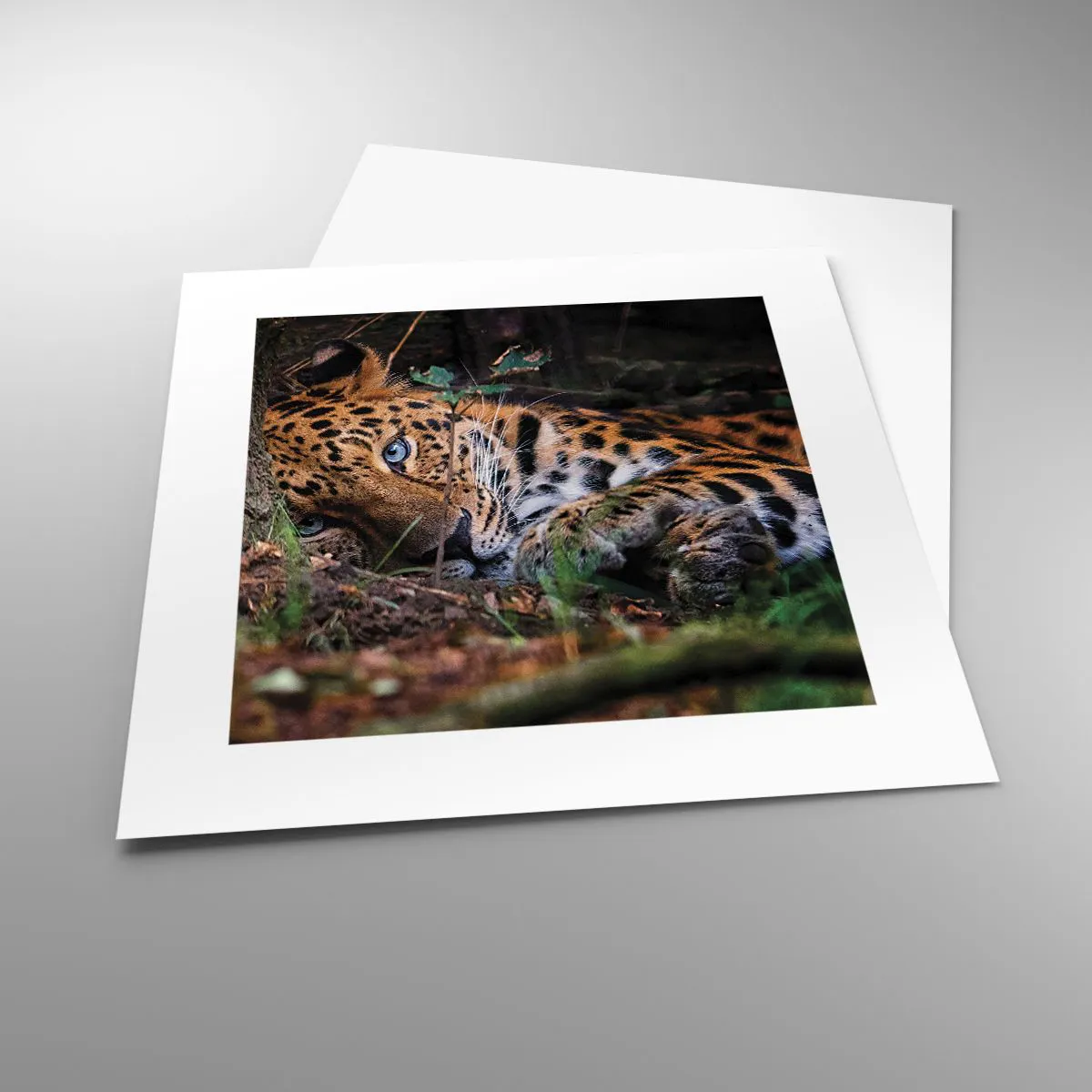 Poster - Geloof me - 30x30 cm