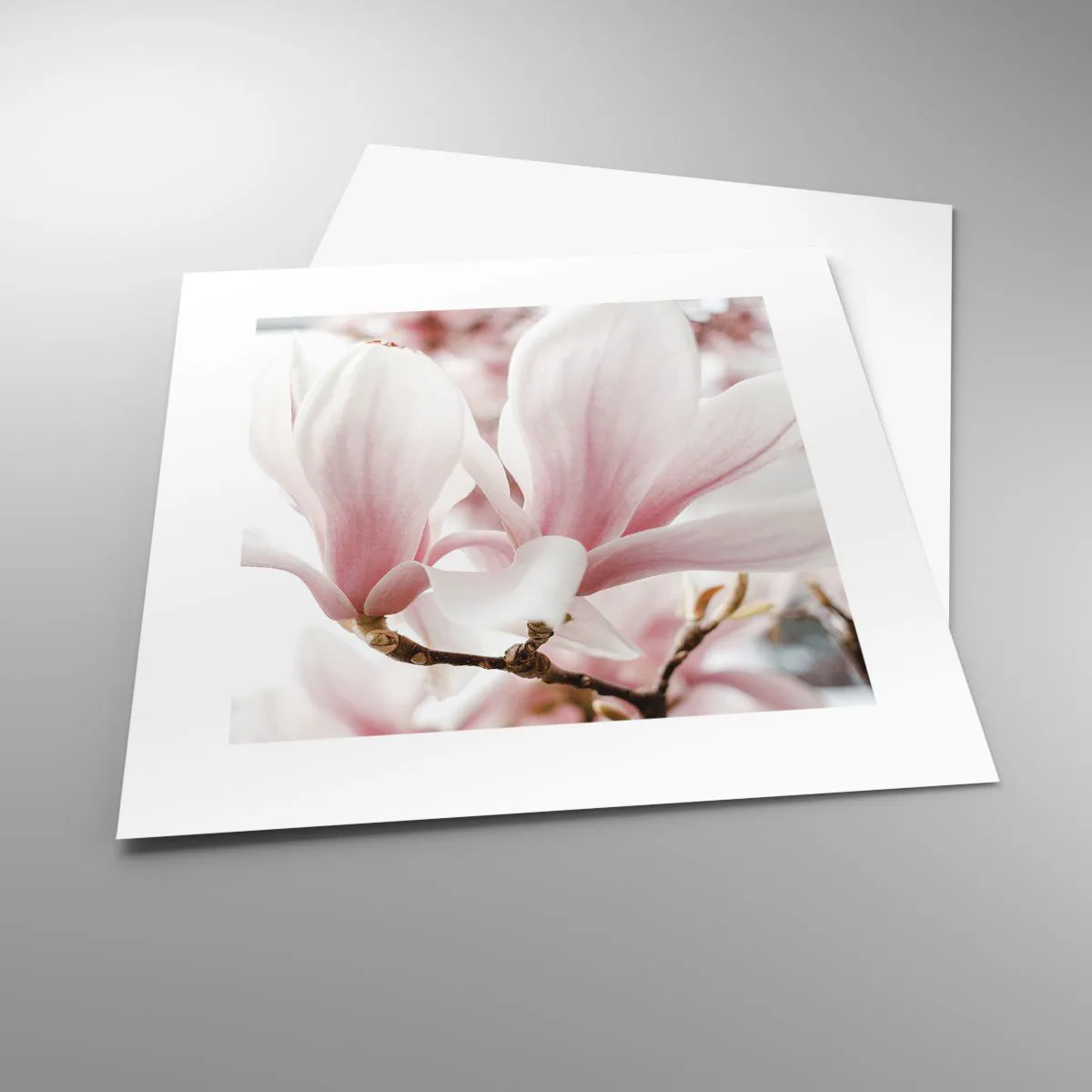 Plakat - Ømhedens umådelighed - 30x30 cm