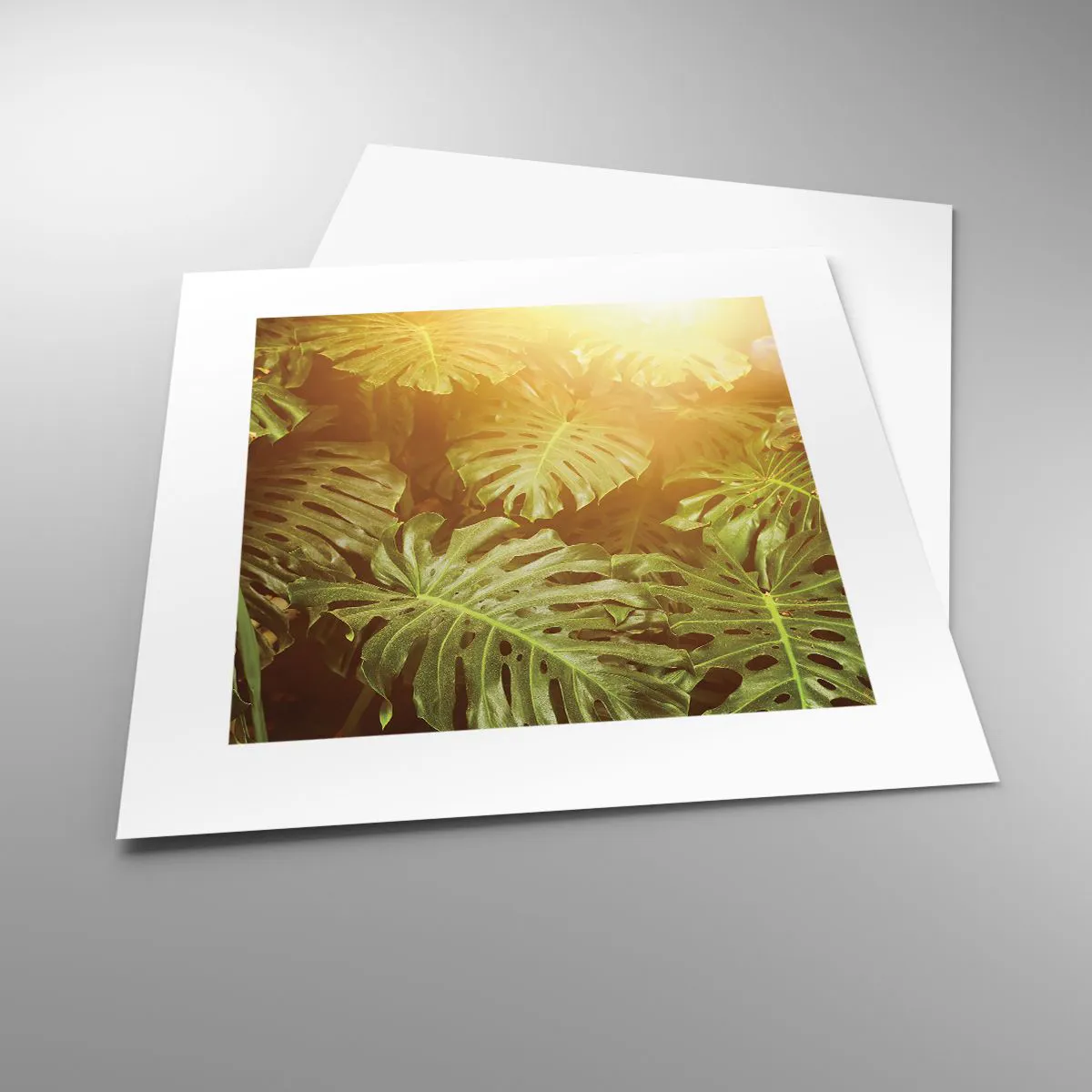 Plakat - W zieloność wstąpić… - 30x30 cm