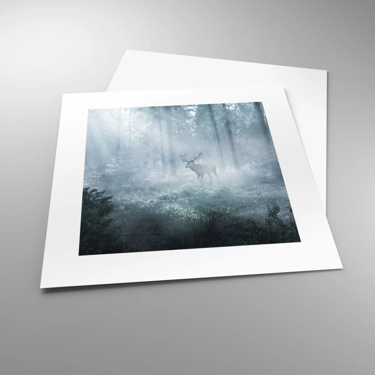 Póster - Ronda matutina por la finca - 30x30 cm