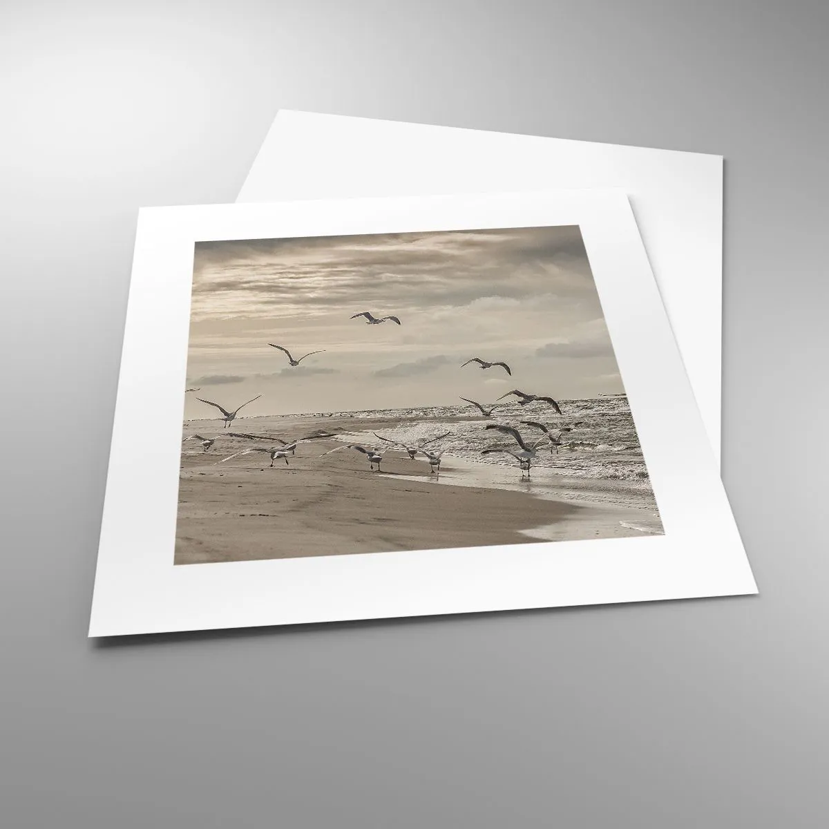 Poszter - A tenger hangja, a madarak éneke - 30x30 cm