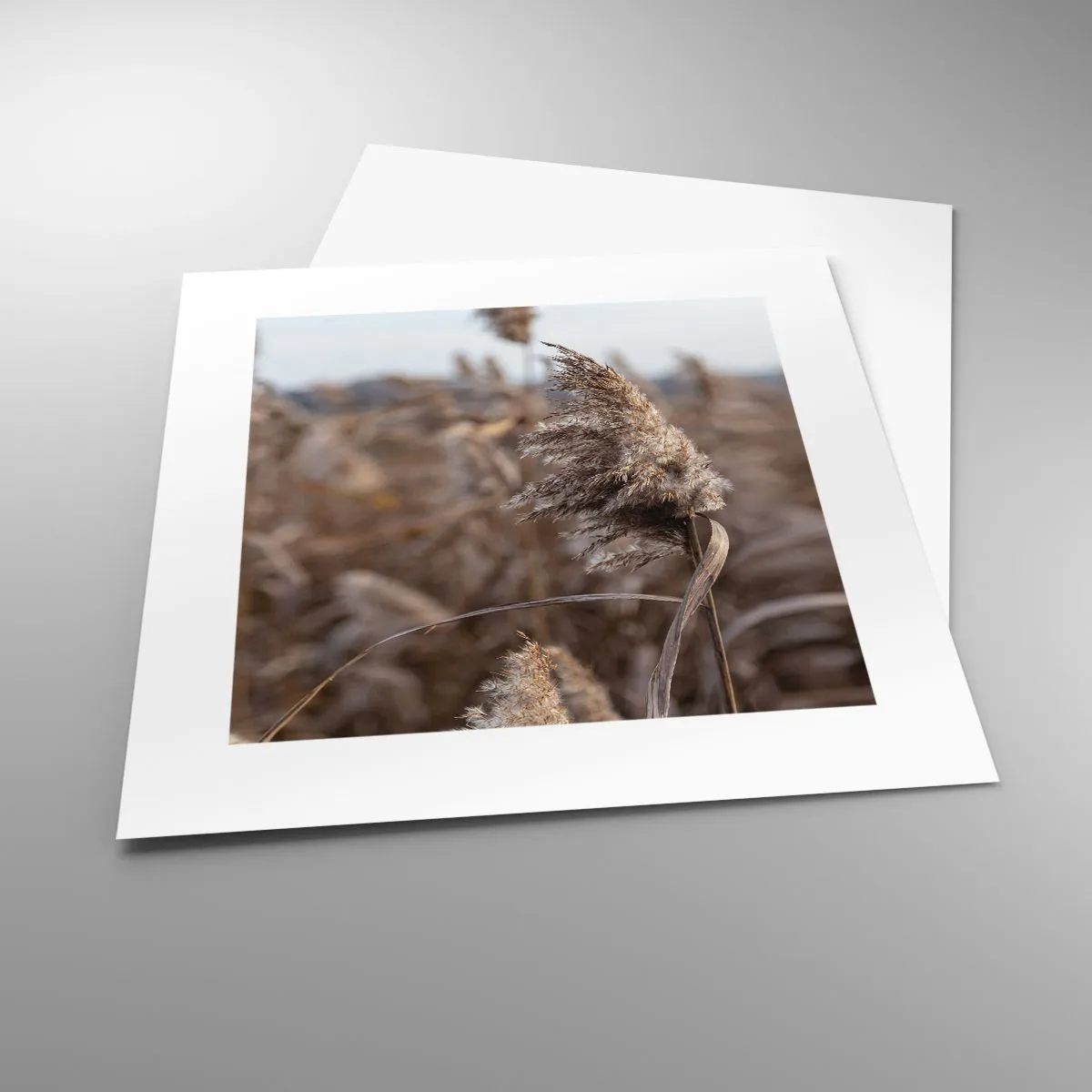 Poszter - Ideje elrepülni a széllel - 30x30 cm