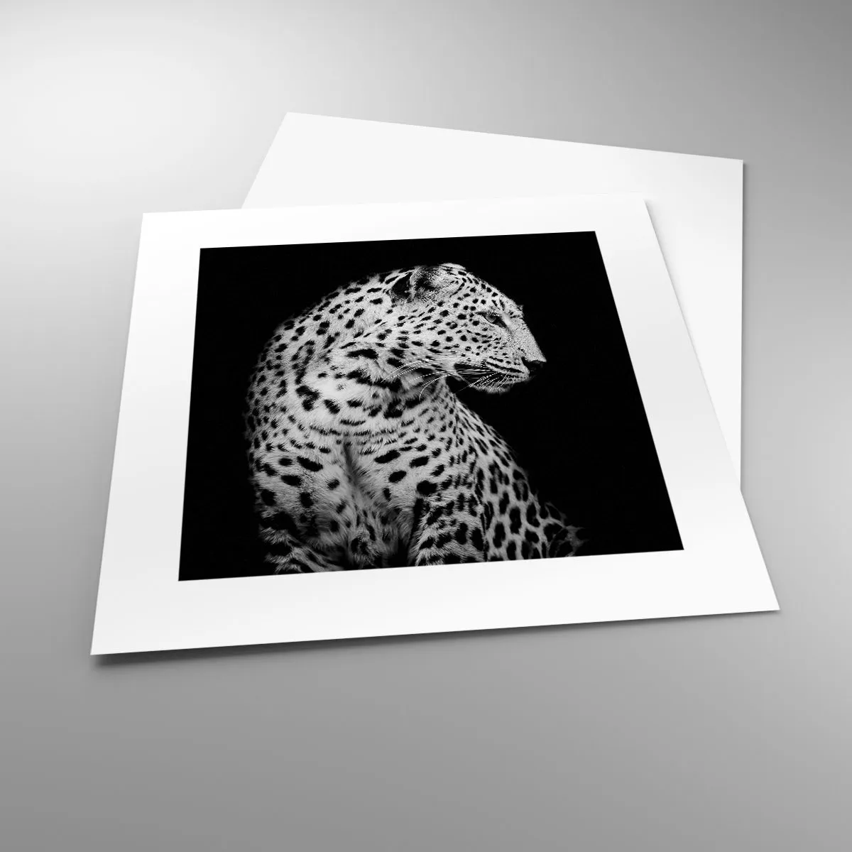 Affiche - Poster - Presque un profil parfait! - 30x30 cm