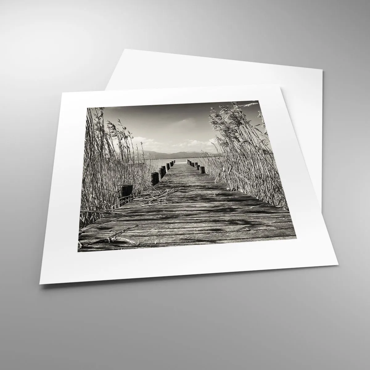 Affiche - Poster - Dans le calme de l'herbe - 30x30 cm