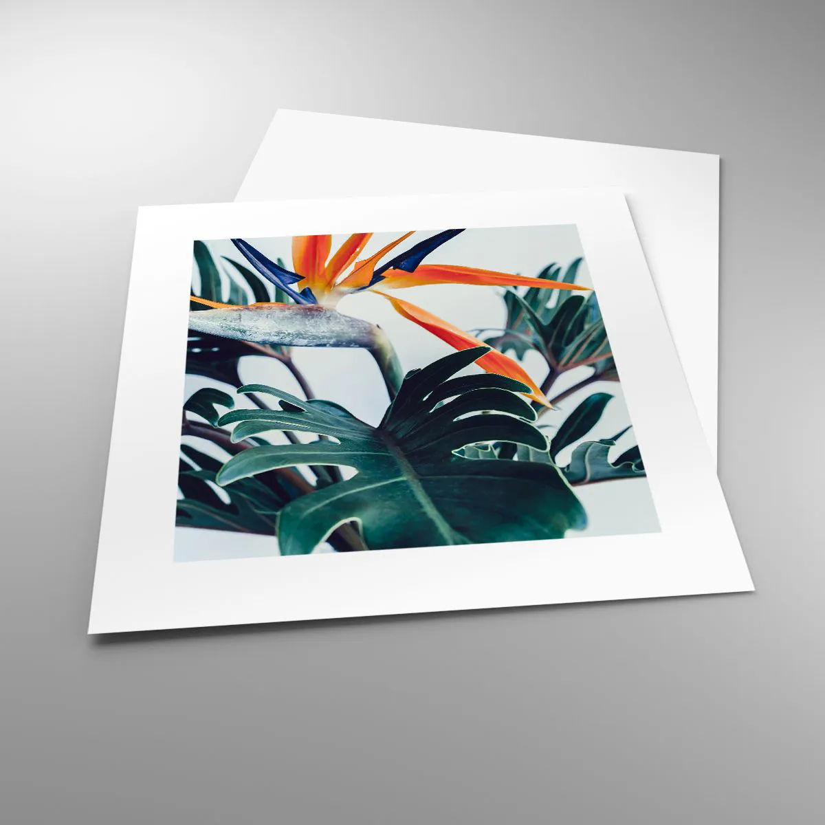 Pôster - Arbusto de passarinho - 30x30 cm