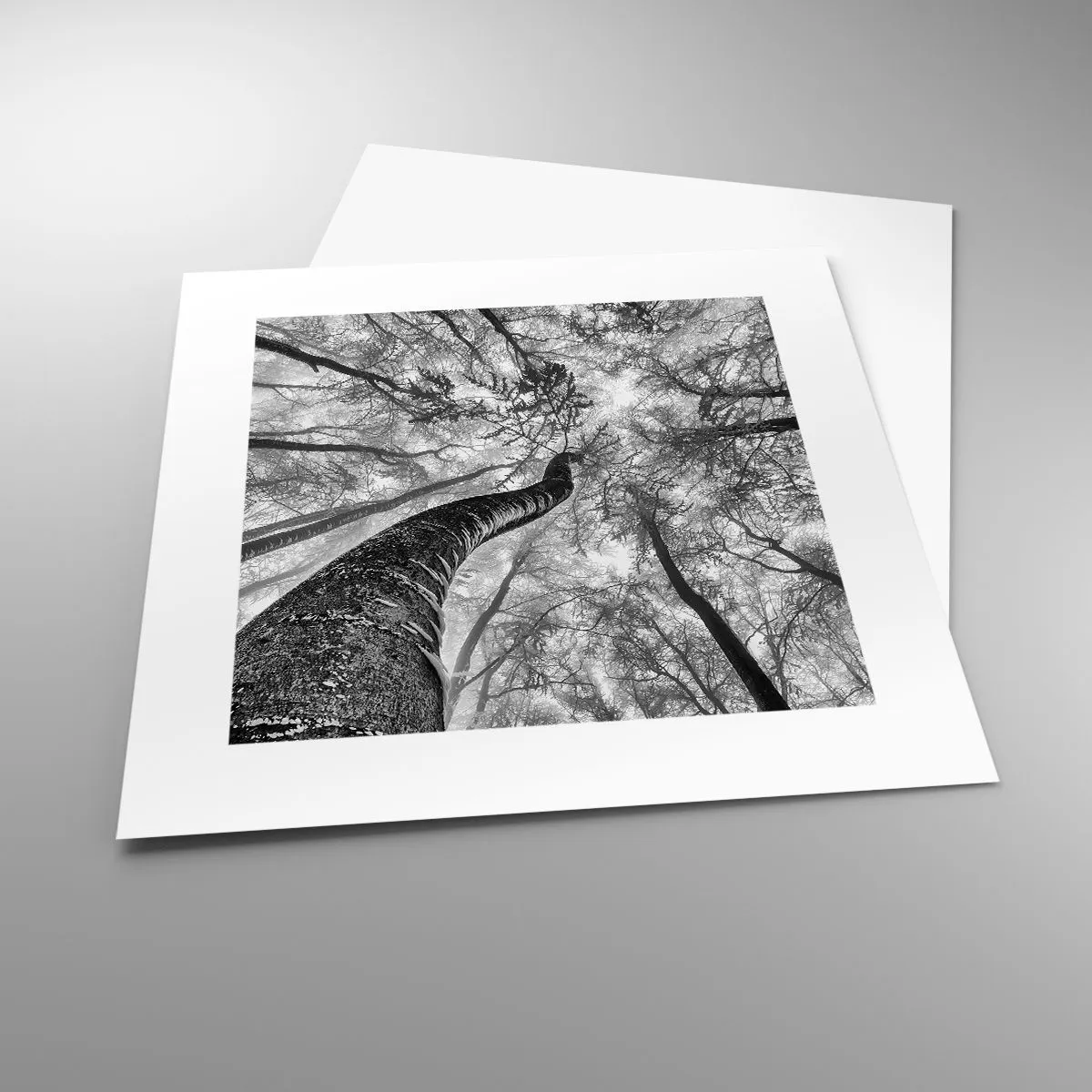 Plakat - Kapløb mod lyset - 30x30 cm