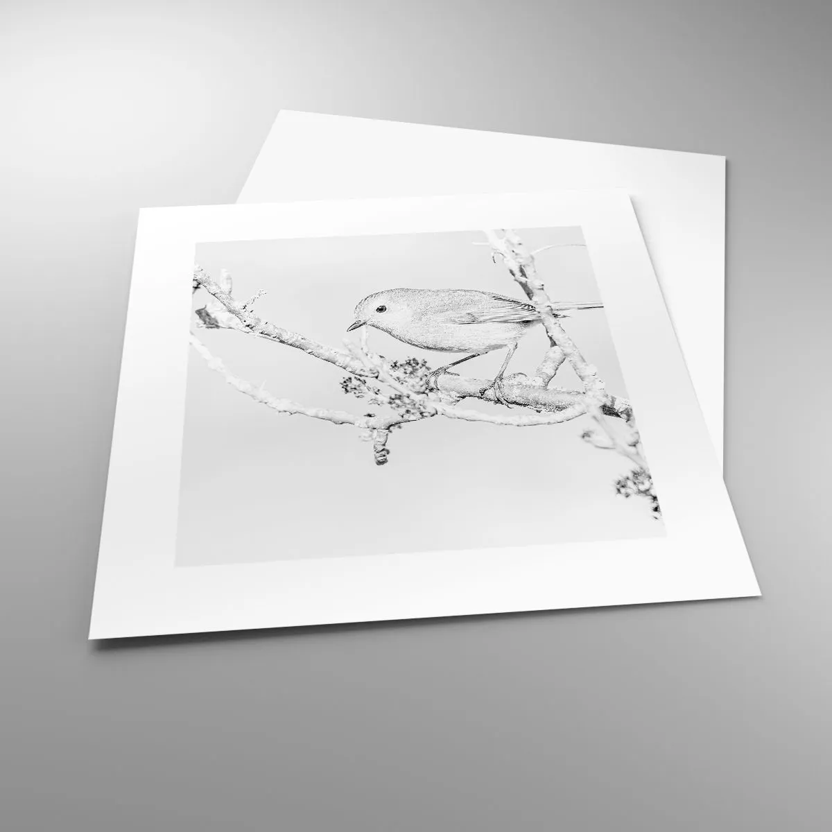 Plakat - Zimowy poranek - 30x30 cm