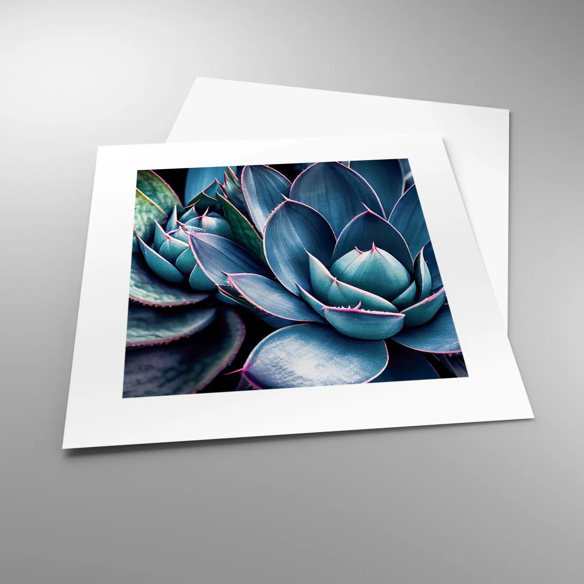 Pôster - Força vital - 30x30 cm