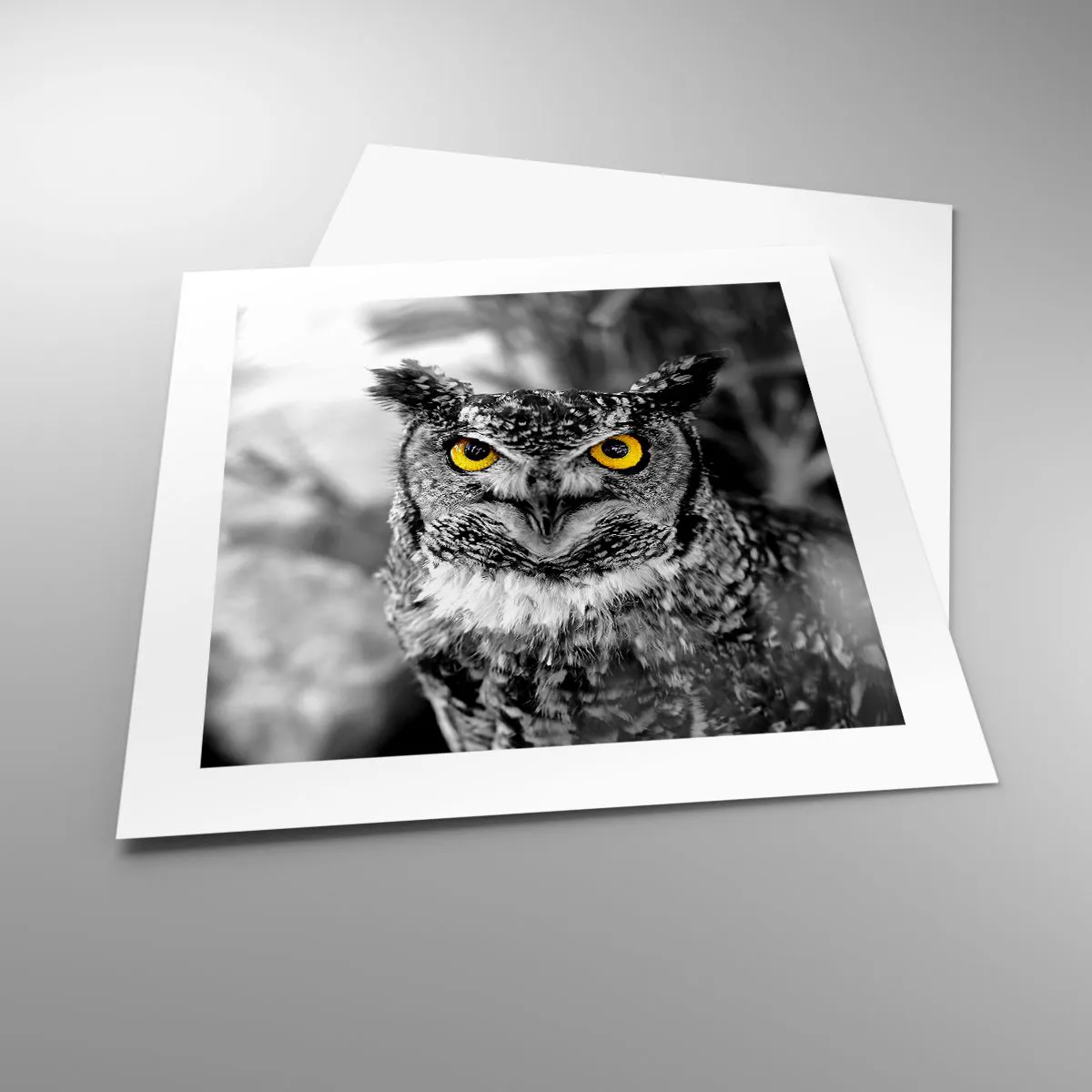 Affiche - Poster - Rien ne se cachera - 40x40 cm