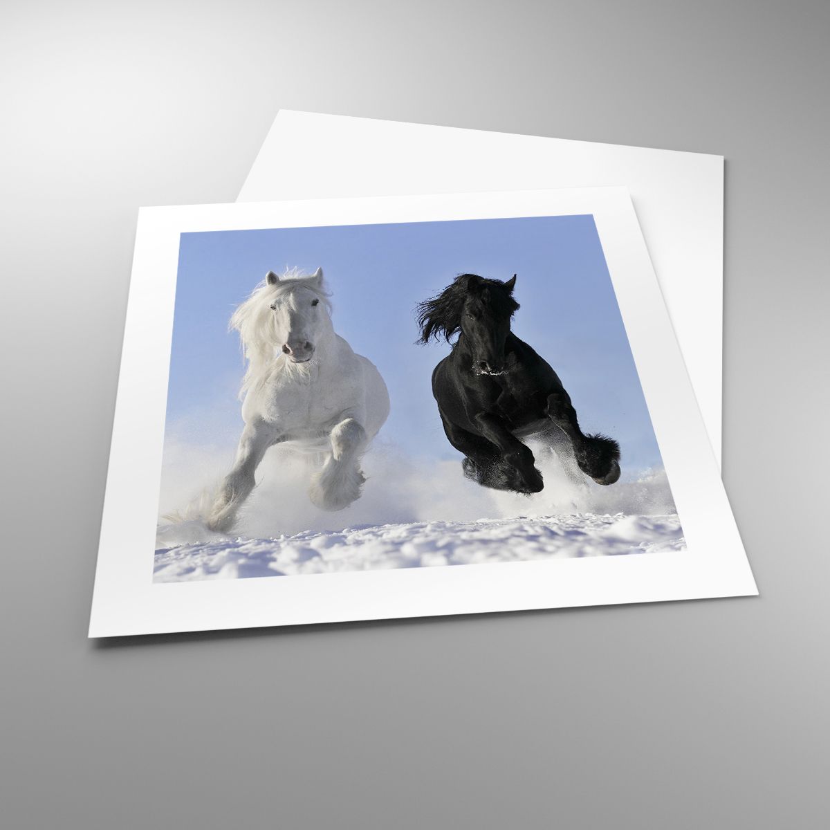 Poster Tiere, Poster Pferd, Poster Winter, Poster Natur, Poster Galopp