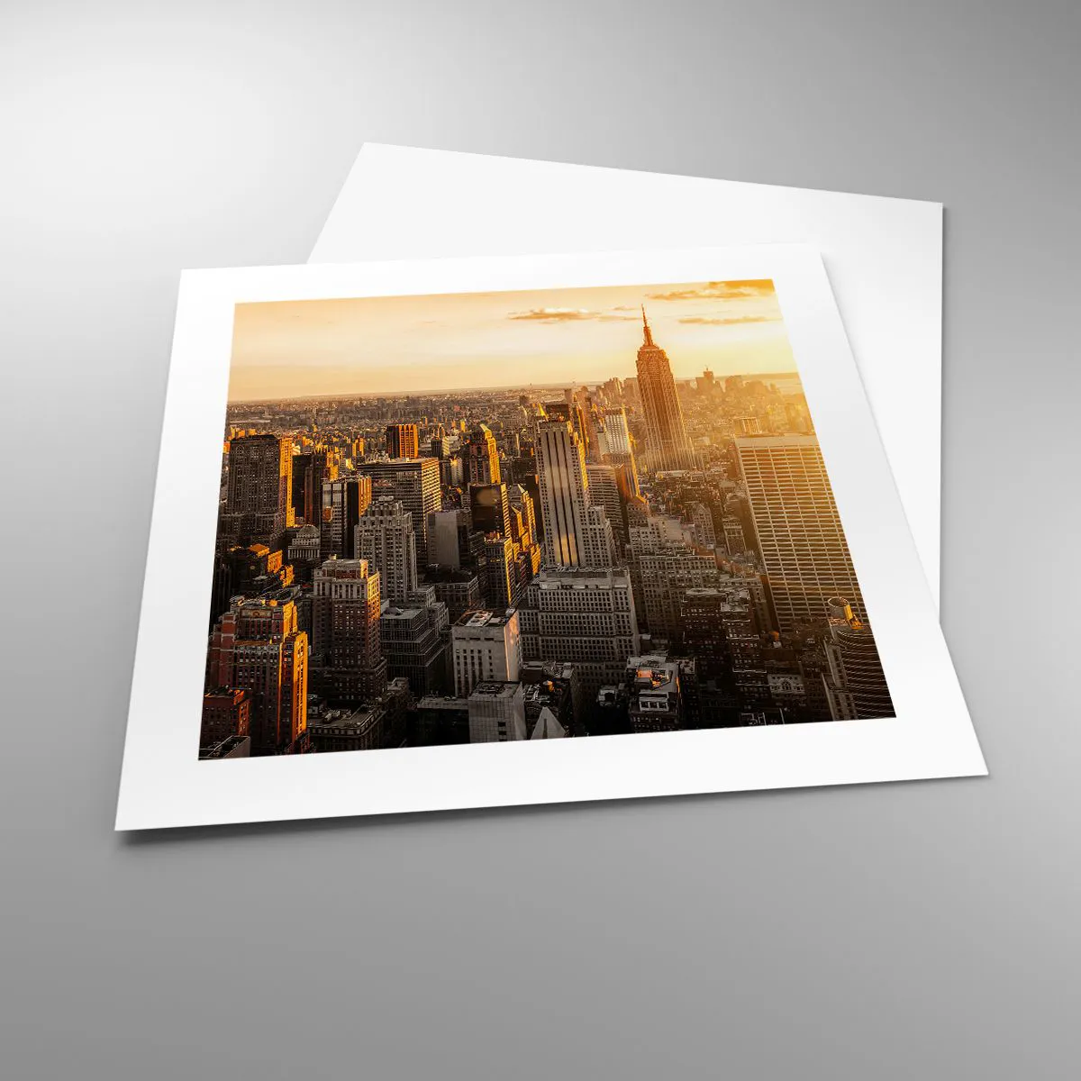 Plagát - Rast na slnku - 40x40 cm