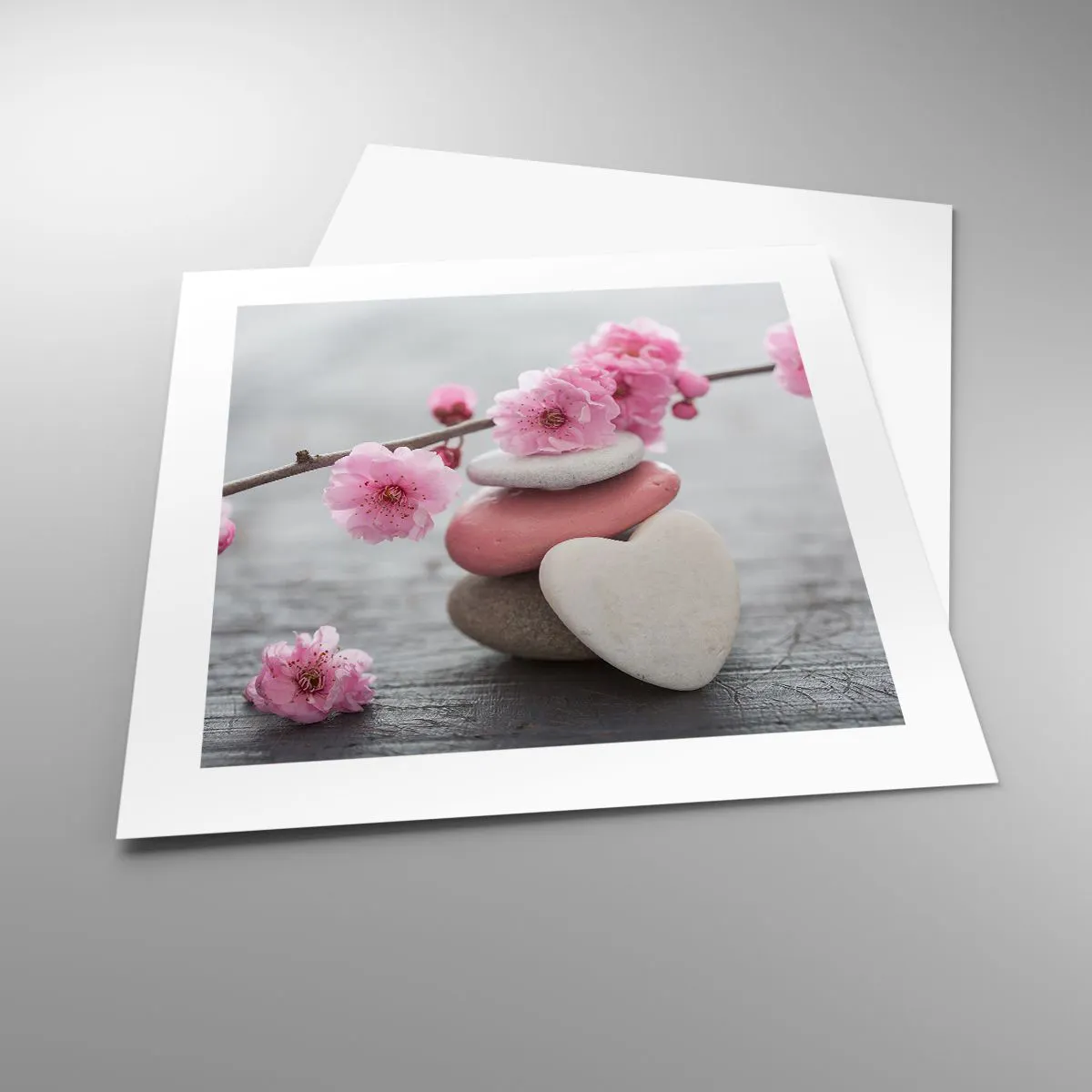 Poster - Serenità con fiori di ciliegio - 40x40 cm