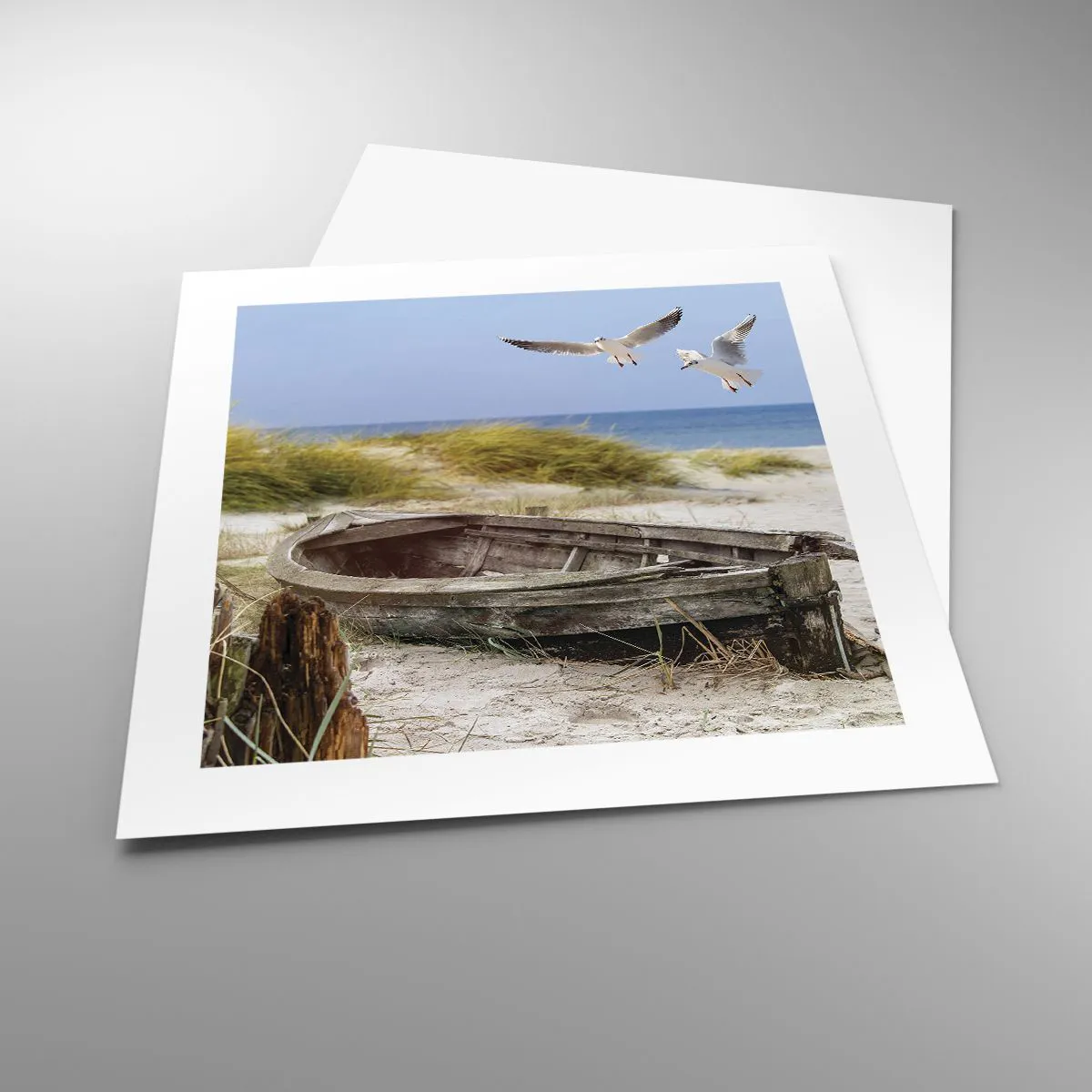 Poszter - Szélben fürödve - 40x40 cm