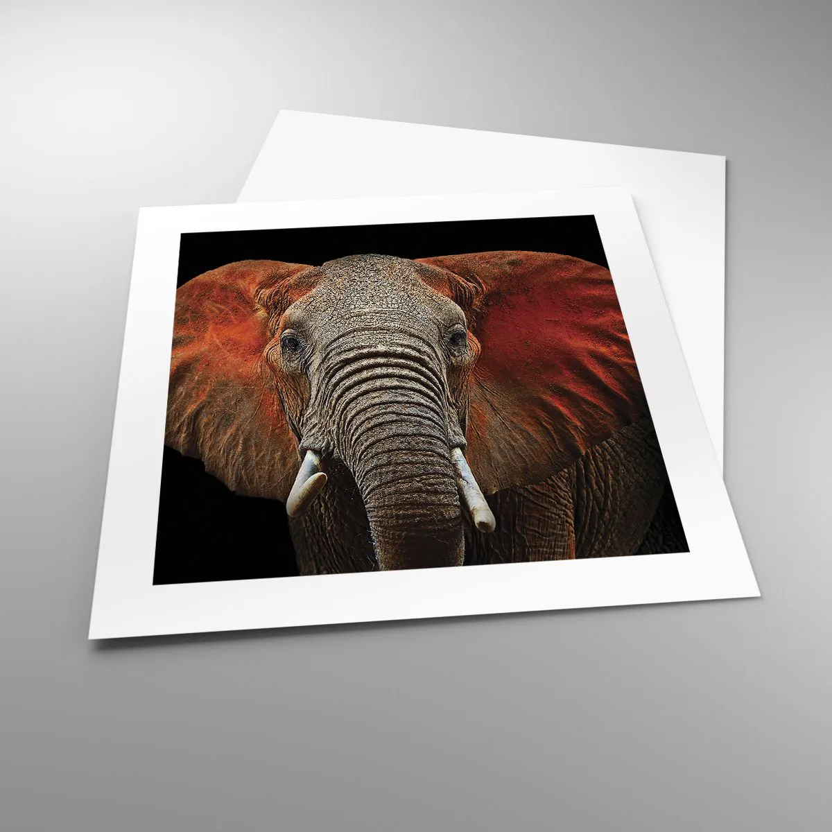 Poster - I am Wild, and You? - 40x40 cm