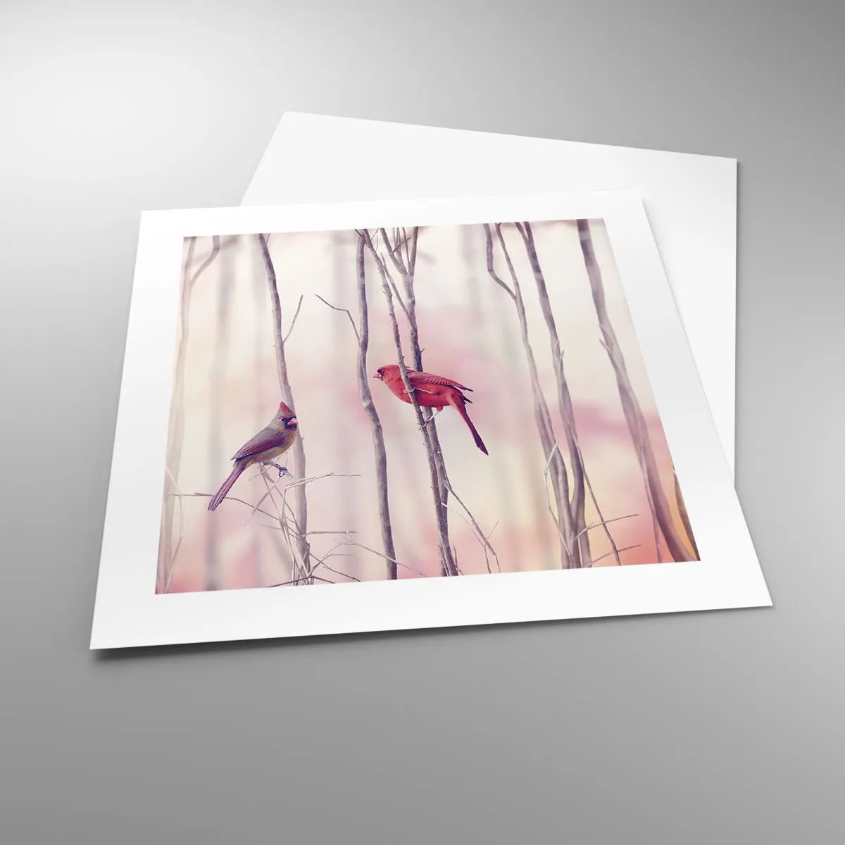 Poszter - Rózsaszín erdő története - 40x40 cm