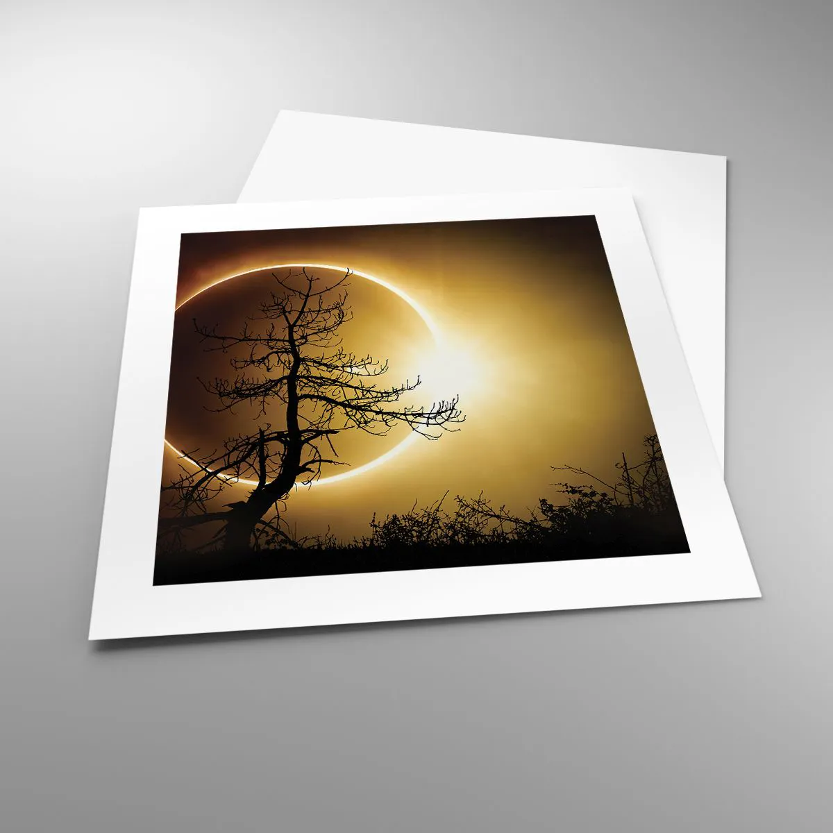 Plakat - Total formørkelse - 40x40 cm