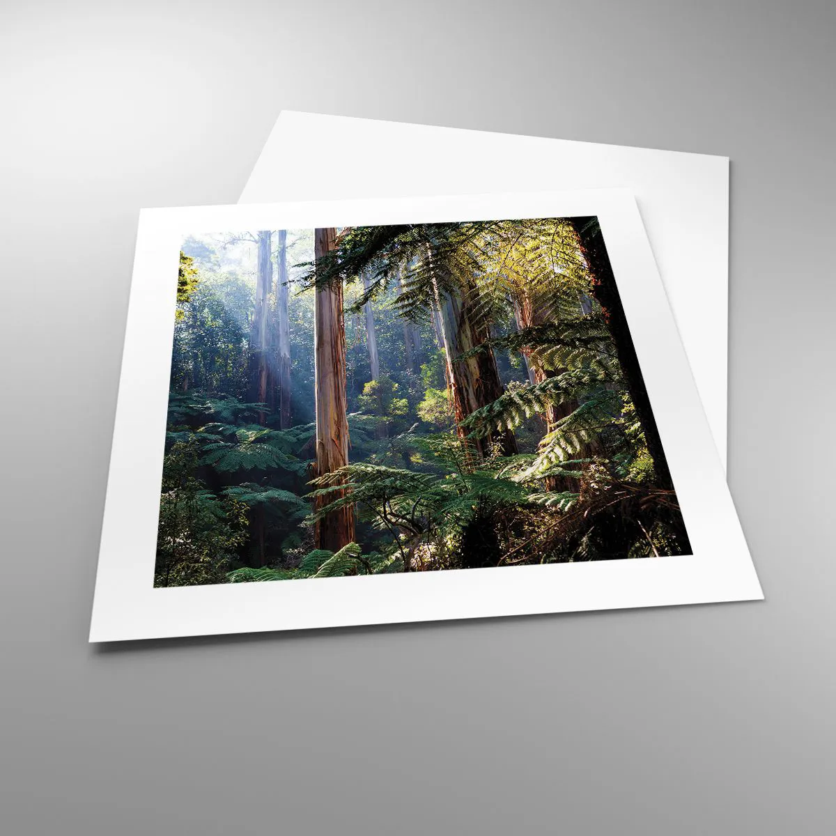 Plakát - Povídka lesa - 40x40 cm