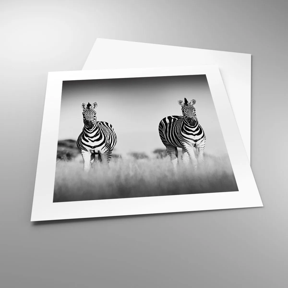 Plakat - Og alligevel er verden sort og hvid - 40x40 cm