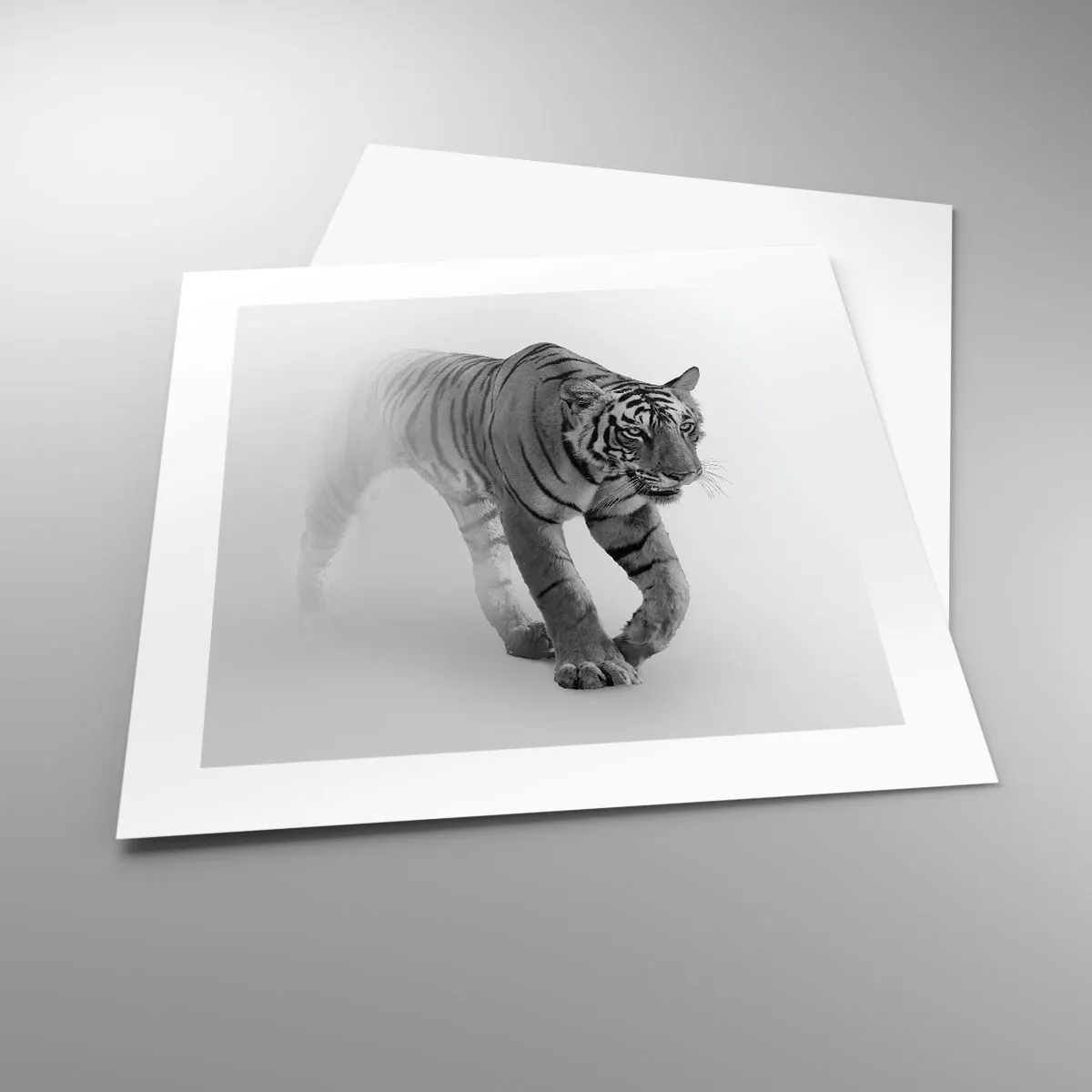 Poster - Crouching in Fog - 40x40 cm