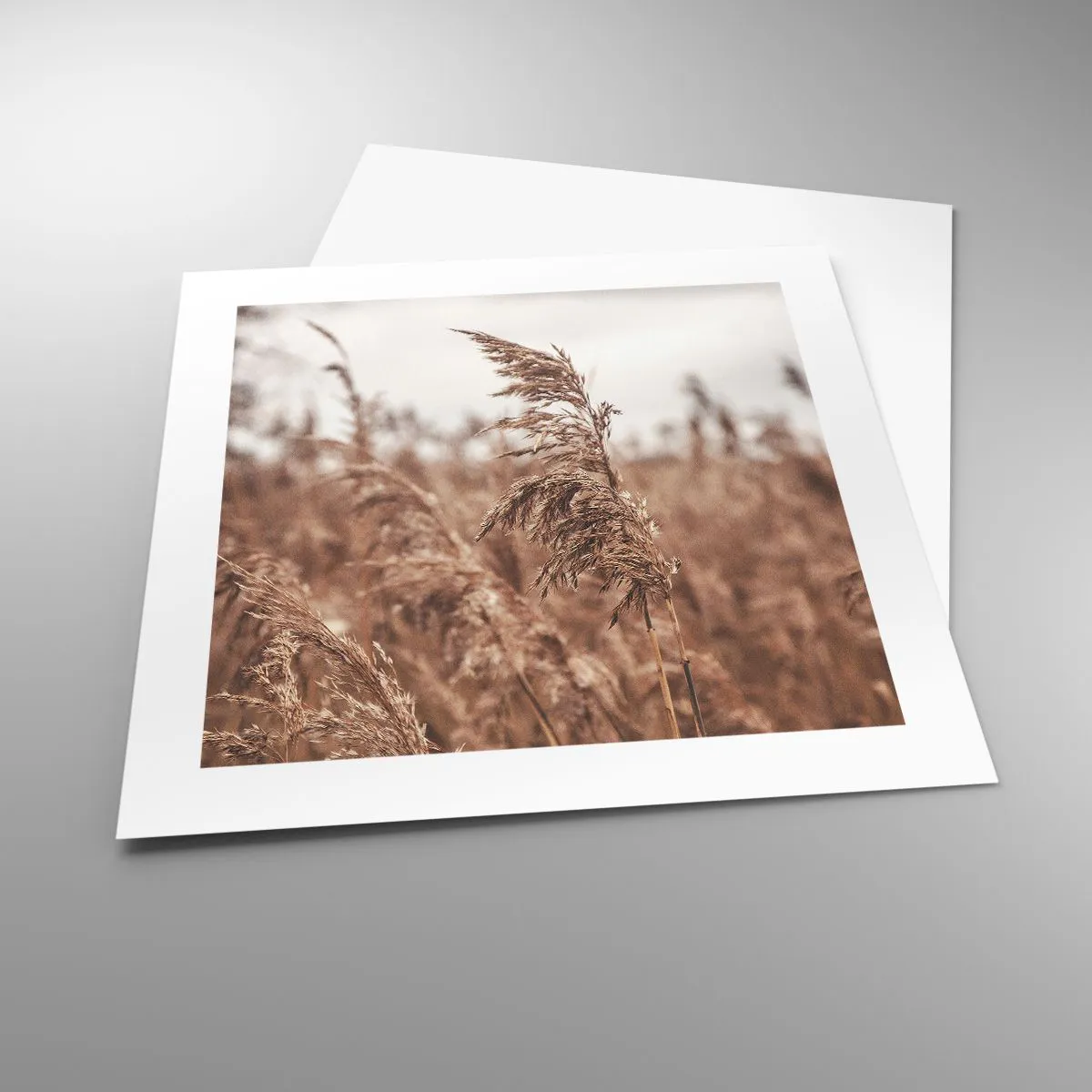 Plakát - Na polích už je podzim - 40x40 cm