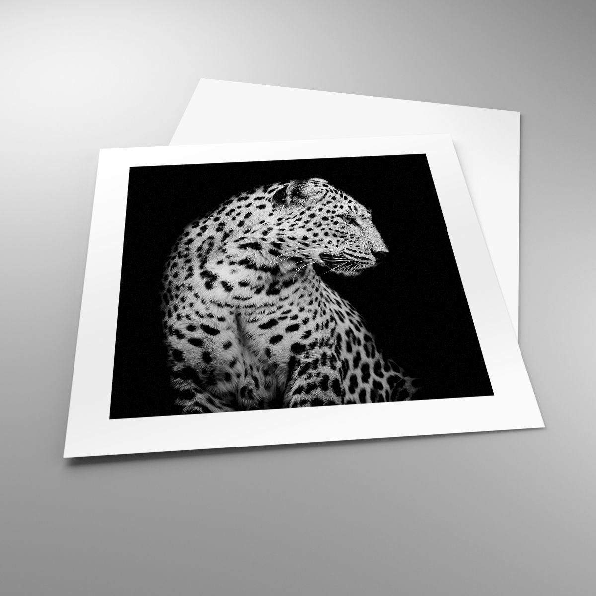 Poster Animali, Poster Leopardo, Poster Bianco E Nero, Poster Predatore, Poster Natura