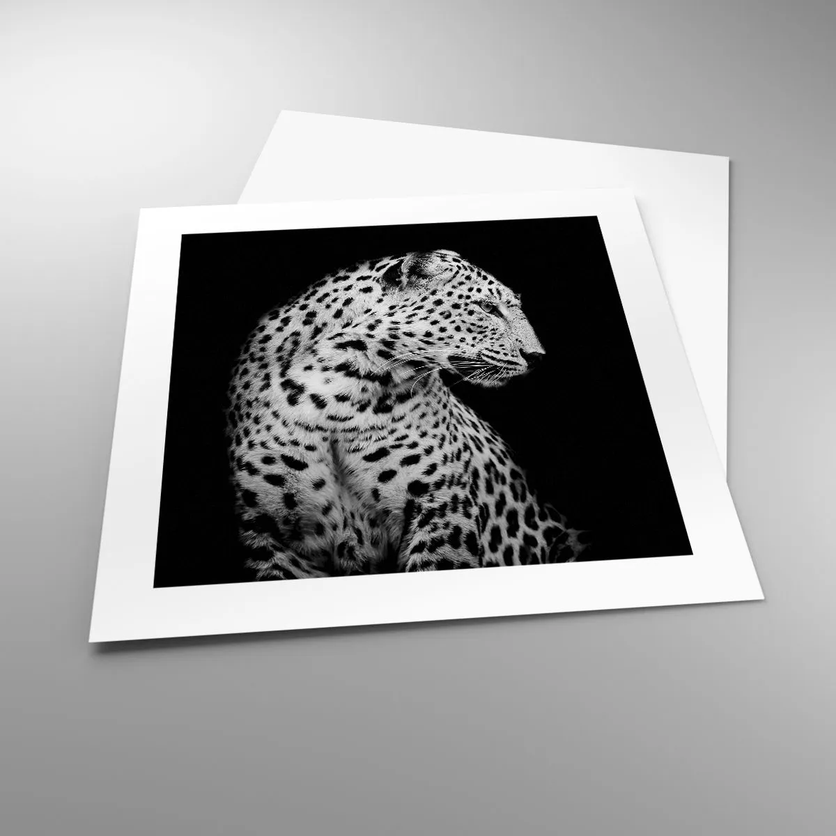 Affisch - Perfekt höger profil! - 40x40 cm