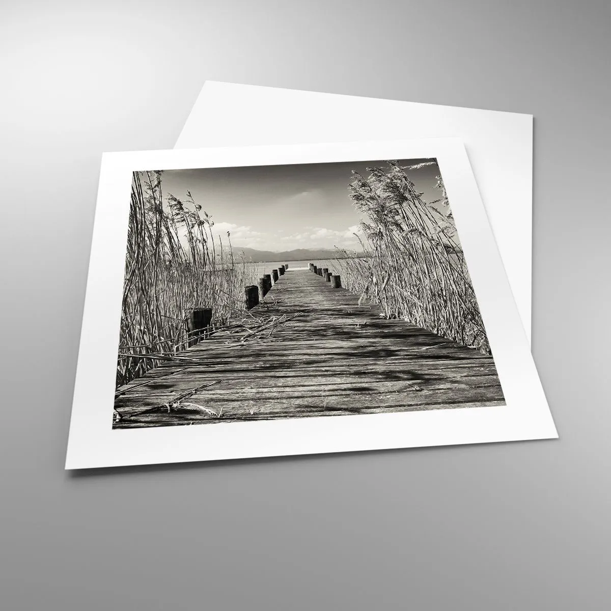 Affiche - Poster - Dans le calme de l'herbe - 40x40 cm