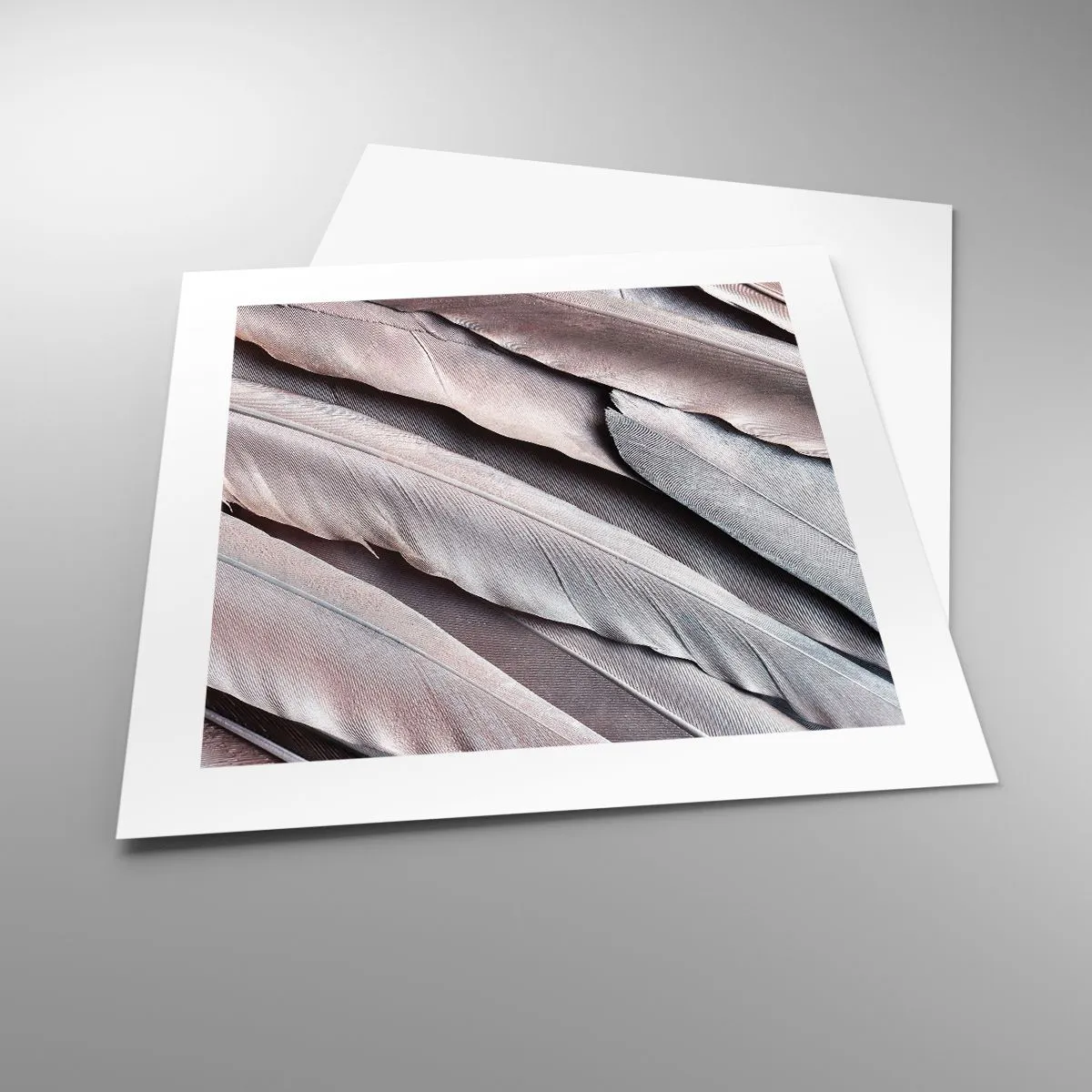 Plakat - W różowej srebrzystości - 40x40 cm