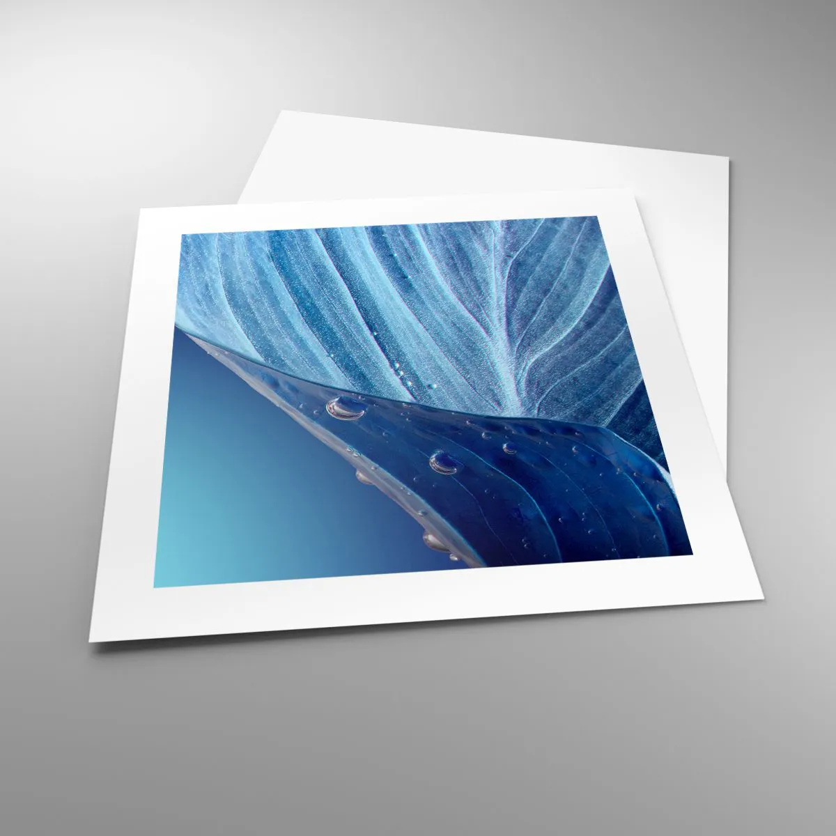 Poster - Picături ascunse de albastru - 40x40 cm