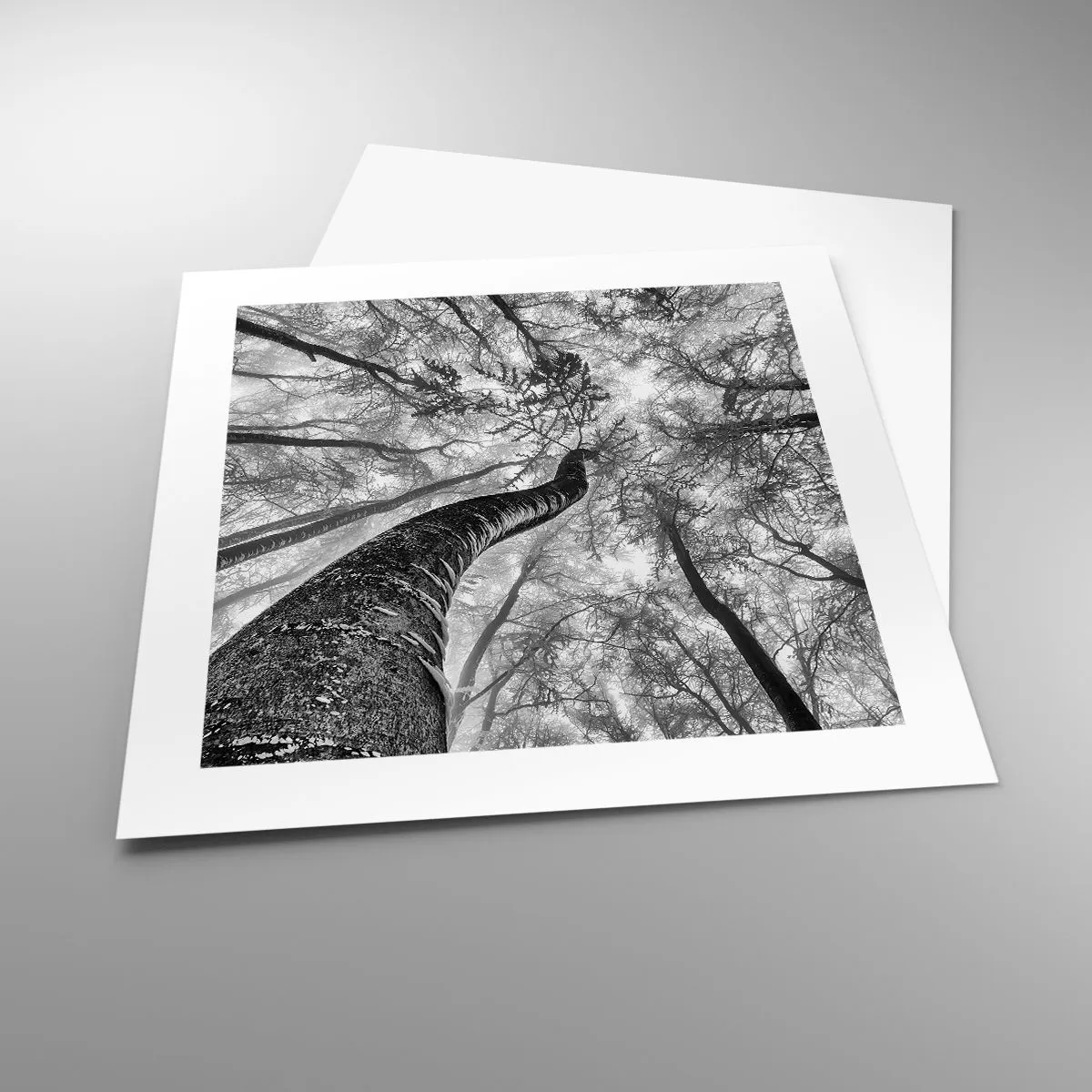 Poszter - Verseny a fény felé - 40x40 cm