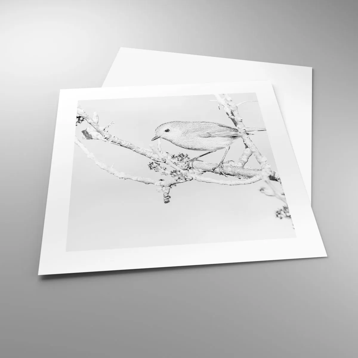 Poster - Wintermorgen - 40x40 cm