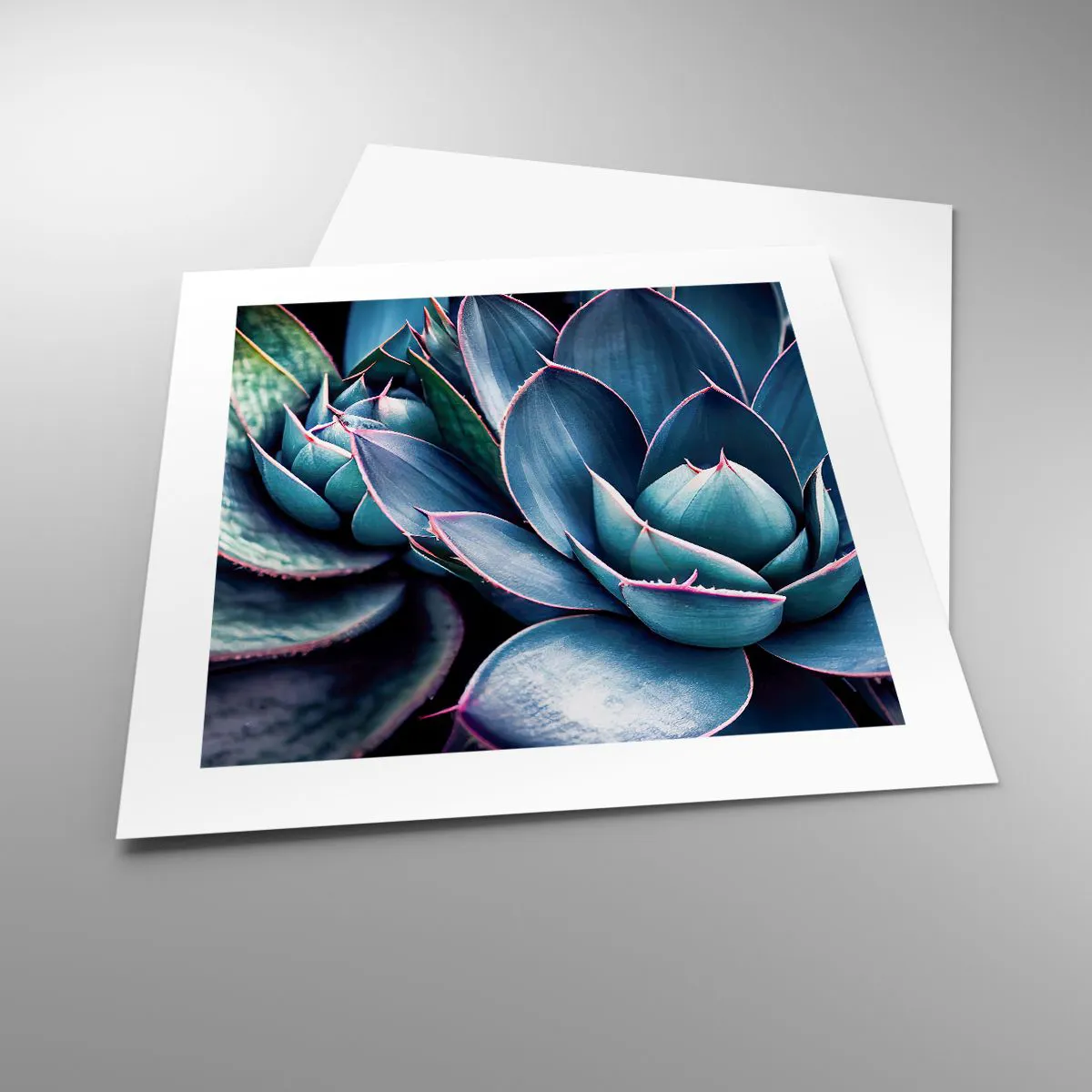 Poster - Levenskracht - 40x40 cm